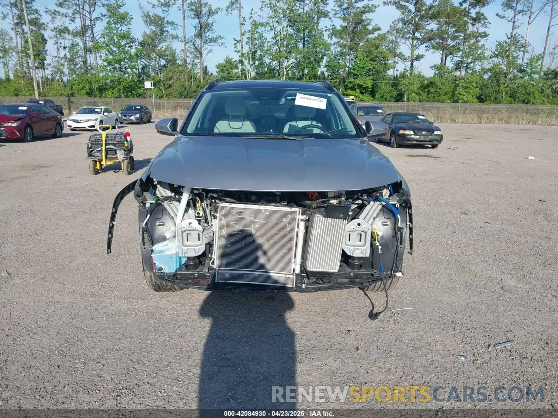 12 Фотография поврежденного автомобиля KM8JECD15RU170382 HYUNDAI TUCSON HYBRID 2024