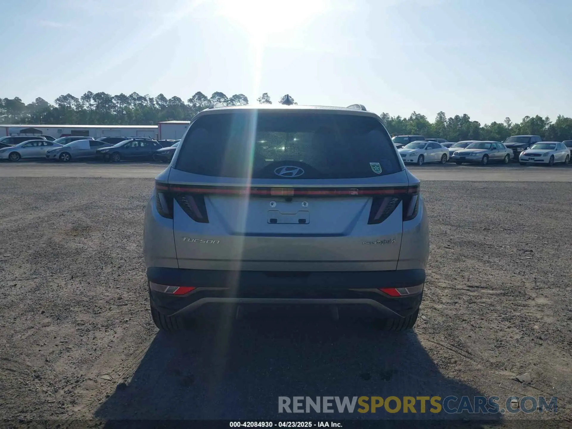 16 Фотография поврежденного автомобиля KM8JECD15RU170382 HYUNDAI TUCSON HYBRID 2024