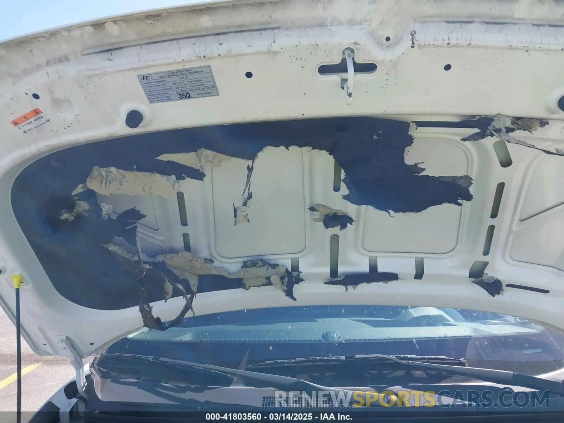 19 Photograph of a damaged car KMHRC8A30NU150935 HYUNDAI VENUE 2022
