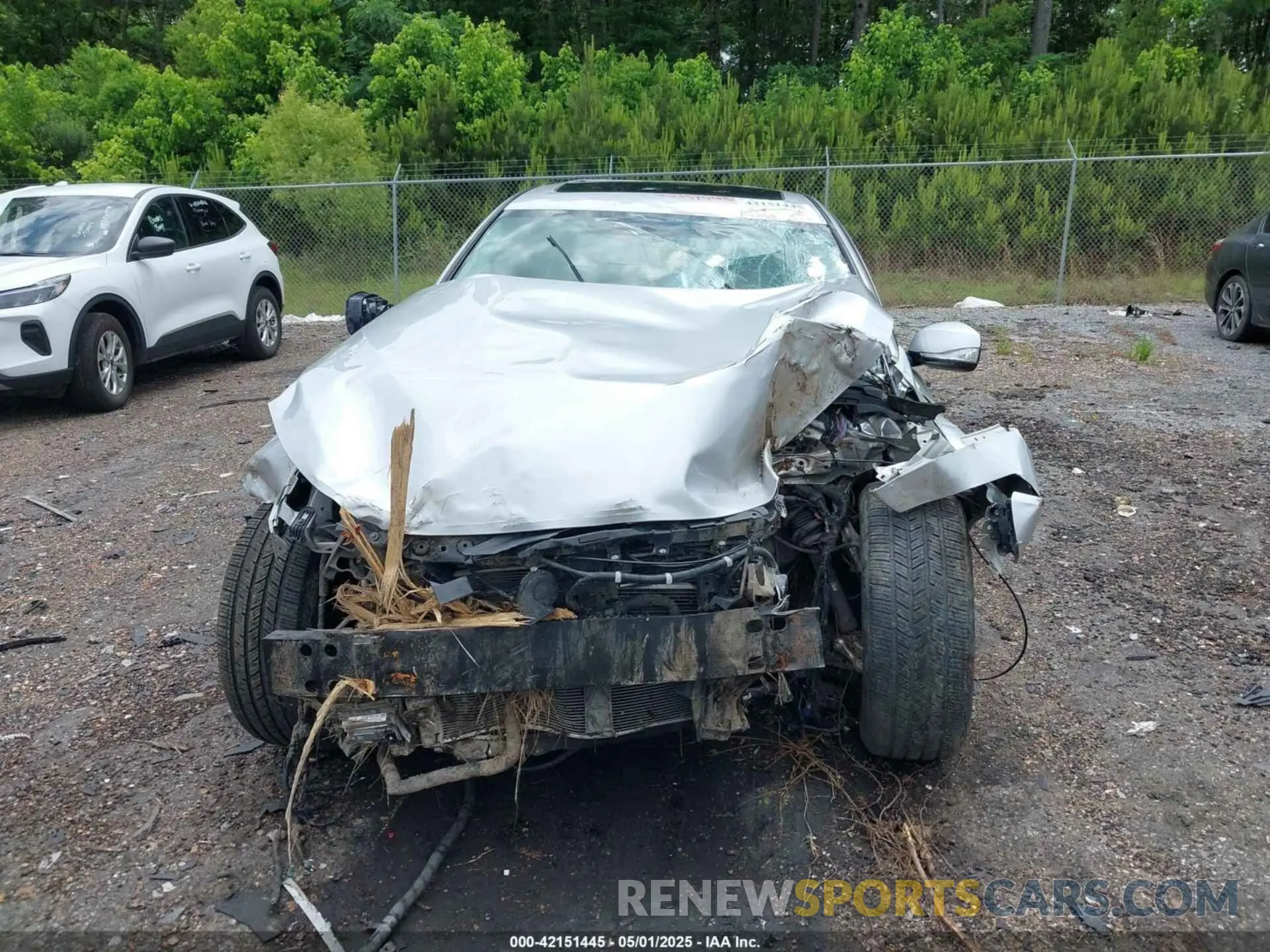 12 Photograph of a damaged car JN1EV7AP6KM512713 INFINITI Q50 2019