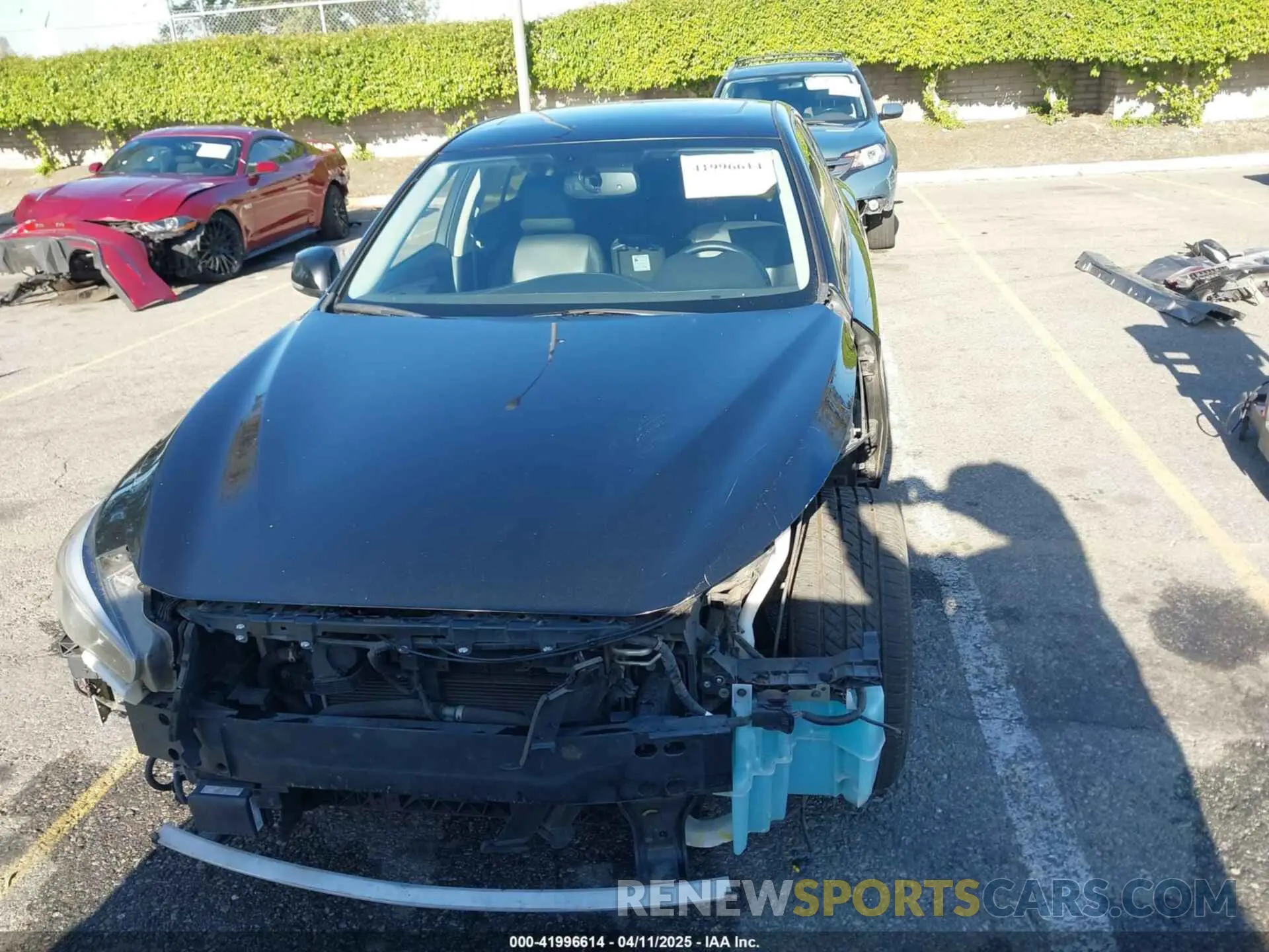 13 Фотография поврежденного автомобиля JN1EV7AP8KM542800 INFINITI Q50 2019