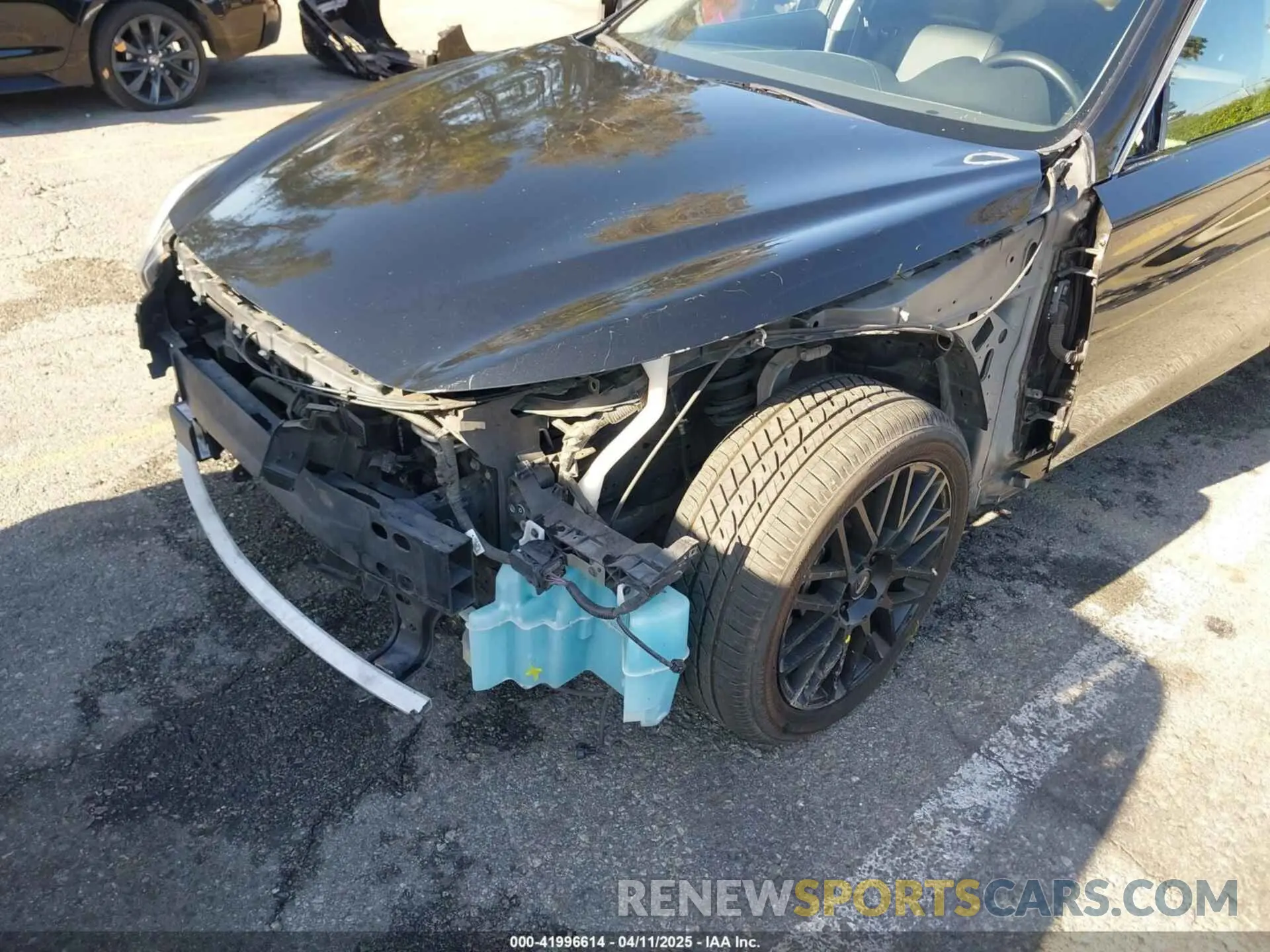 19 Фотография поврежденного автомобиля JN1EV7AP8KM542800 INFINITI Q50 2019