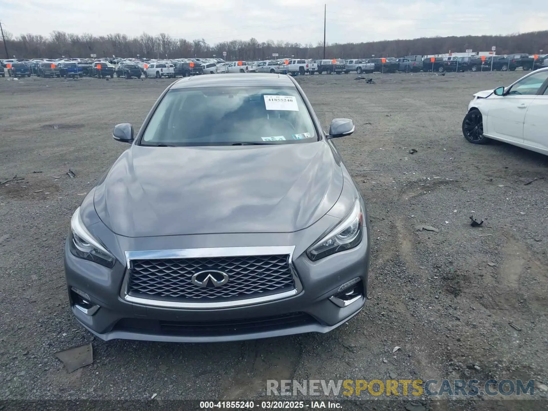 12 Photograph of a damaged car JN1EV7BRXMM751698 INFINITI Q50 2021