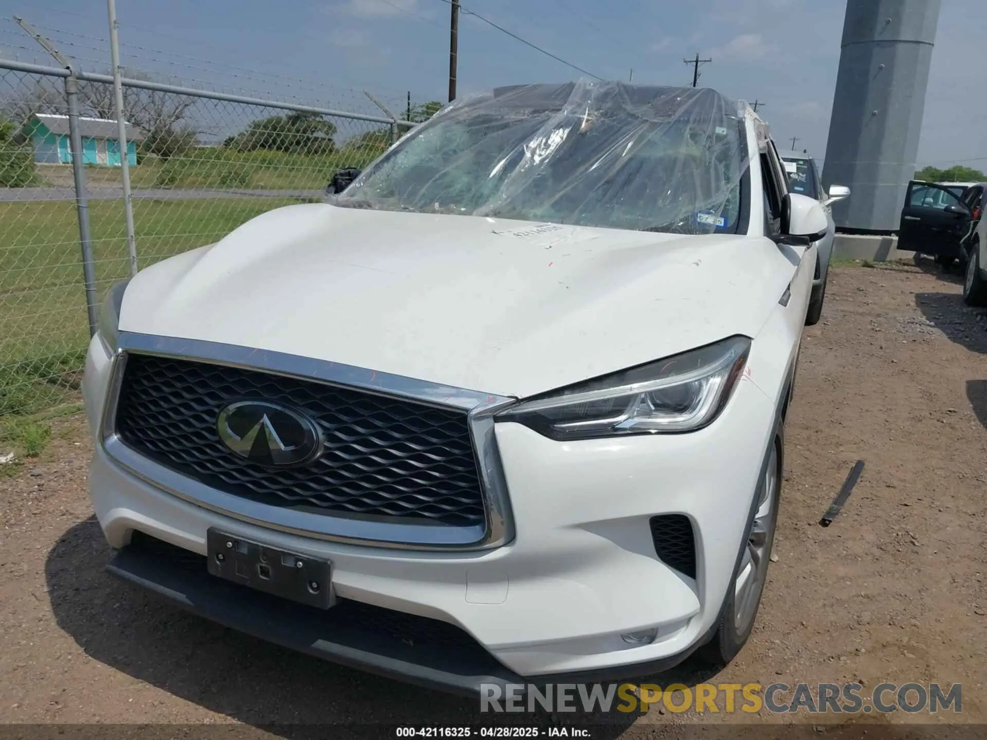 12 Фотография поврежденного автомобиля 3PCAJ5M11KF145988 INFINITI QX50 2019