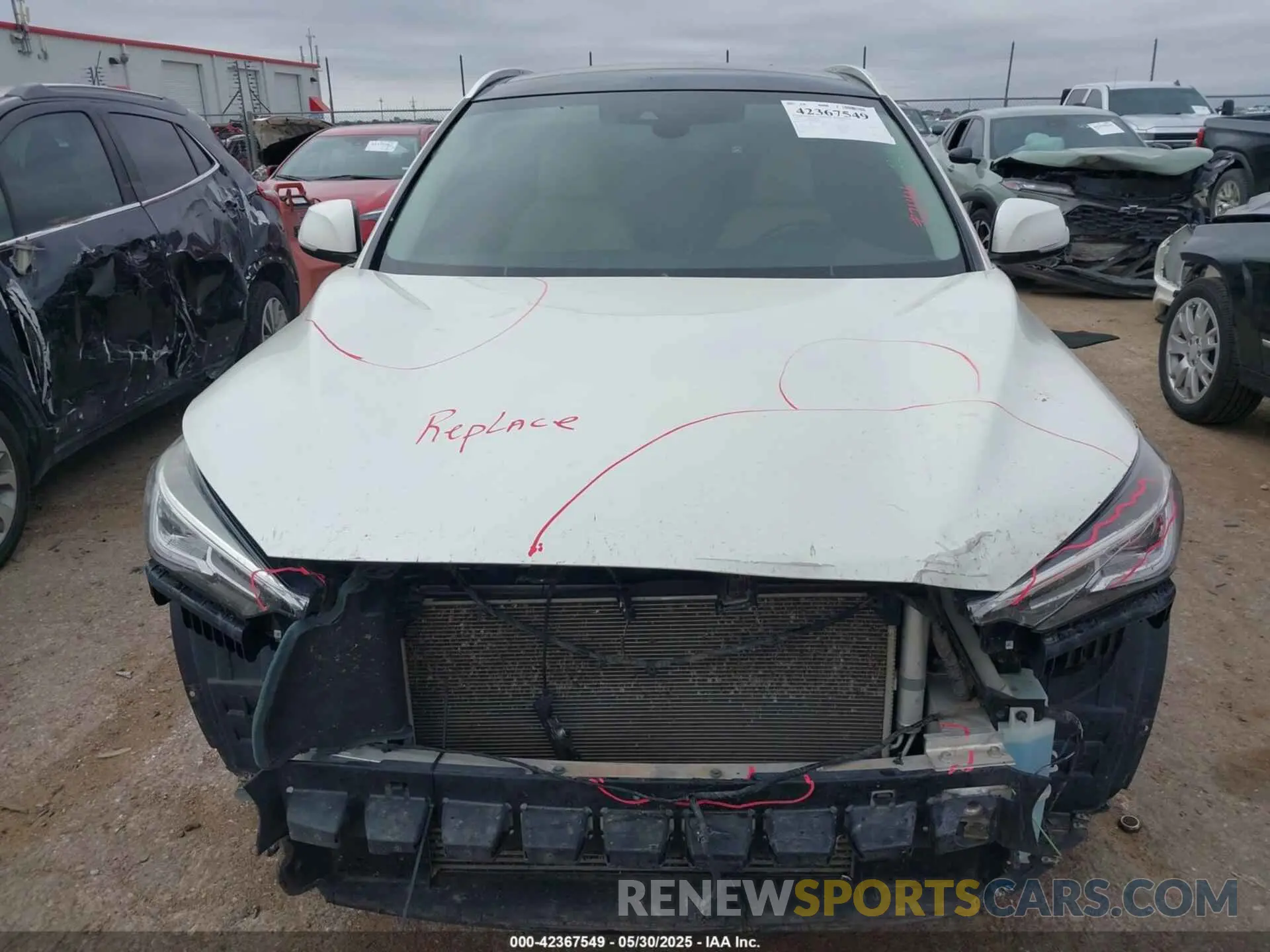 13 Photograph of a damaged car 3PCAJ5M12KF139990 INFINITI QX50 2019