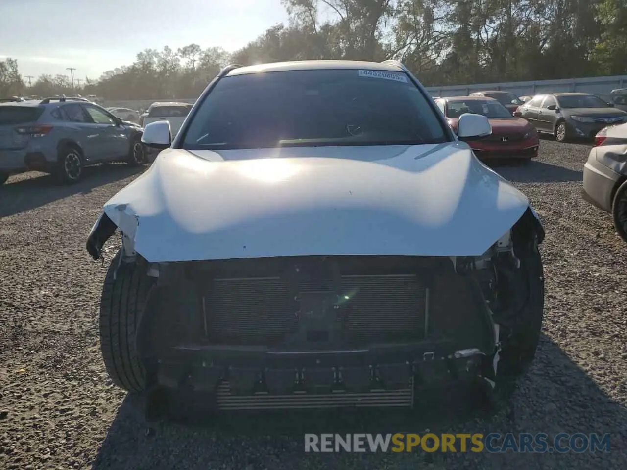 5 Photograph of a damaged car 3PCAJ5M13KF140582 INFINITI QX50 2019