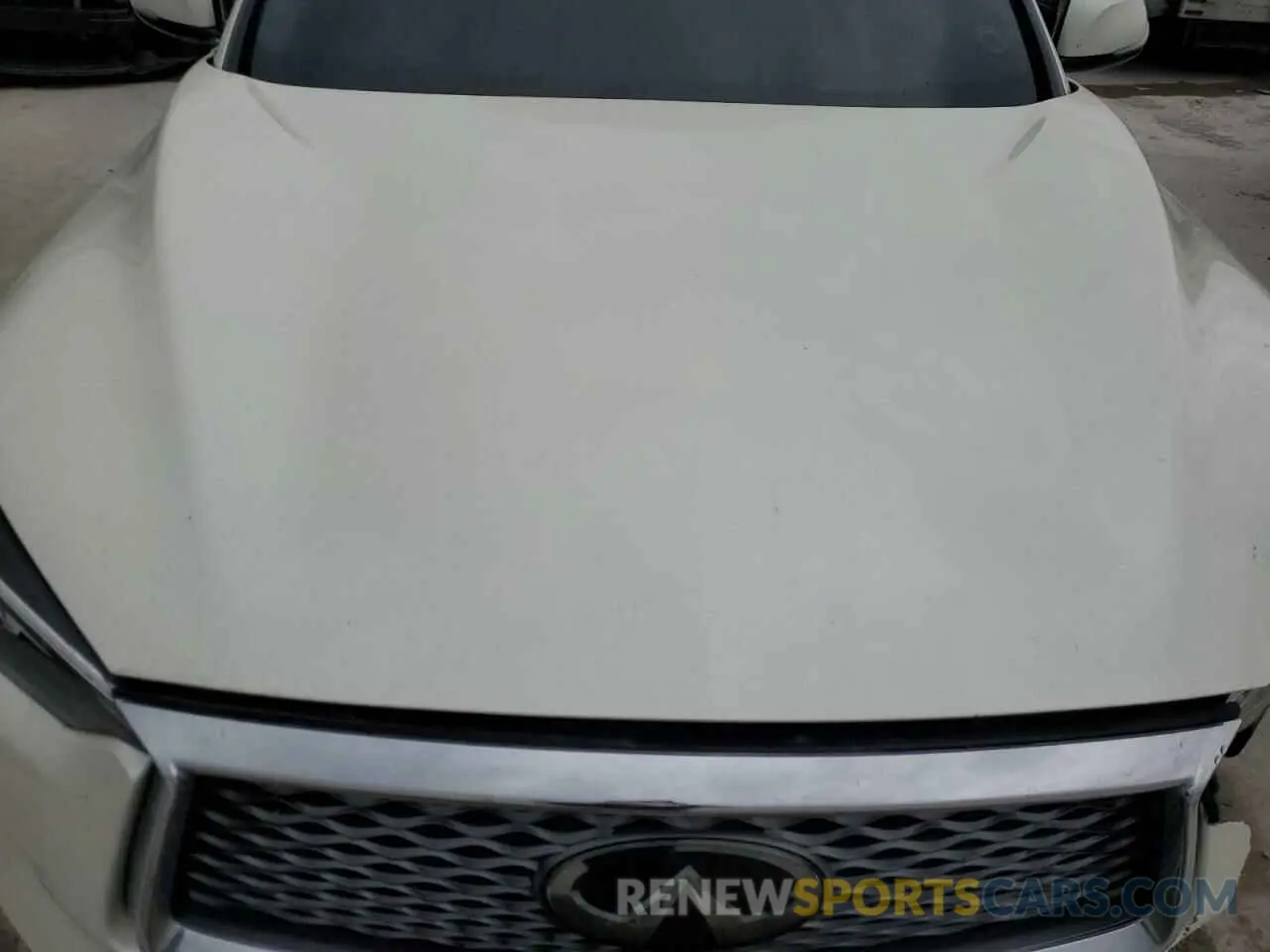 12 Photograph of a damaged car 3PCAJ5M14KF110832 INFINITI QX50 2019