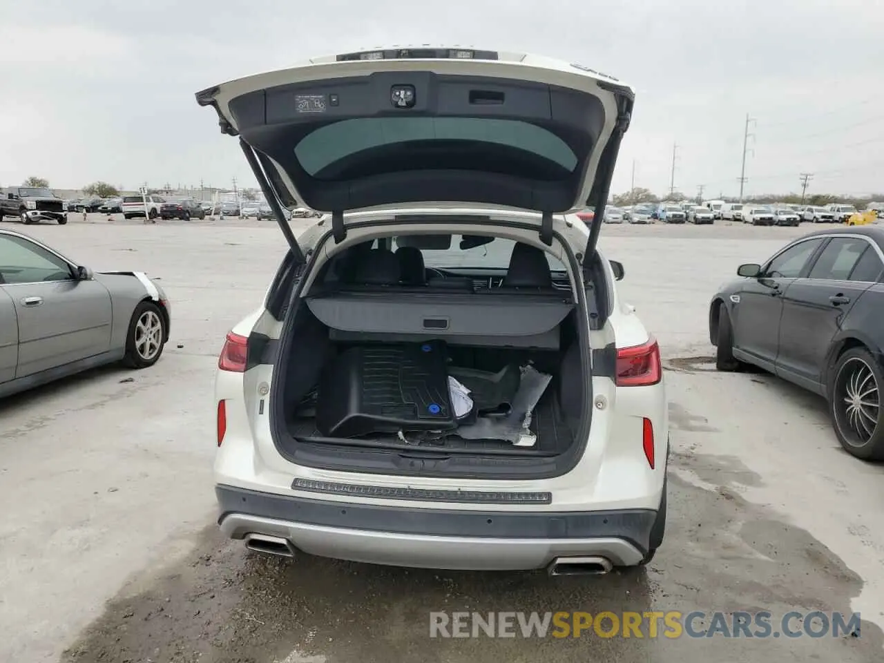 6 Photograph of a damaged car 3PCAJ5M14KF110832 INFINITI QX50 2019