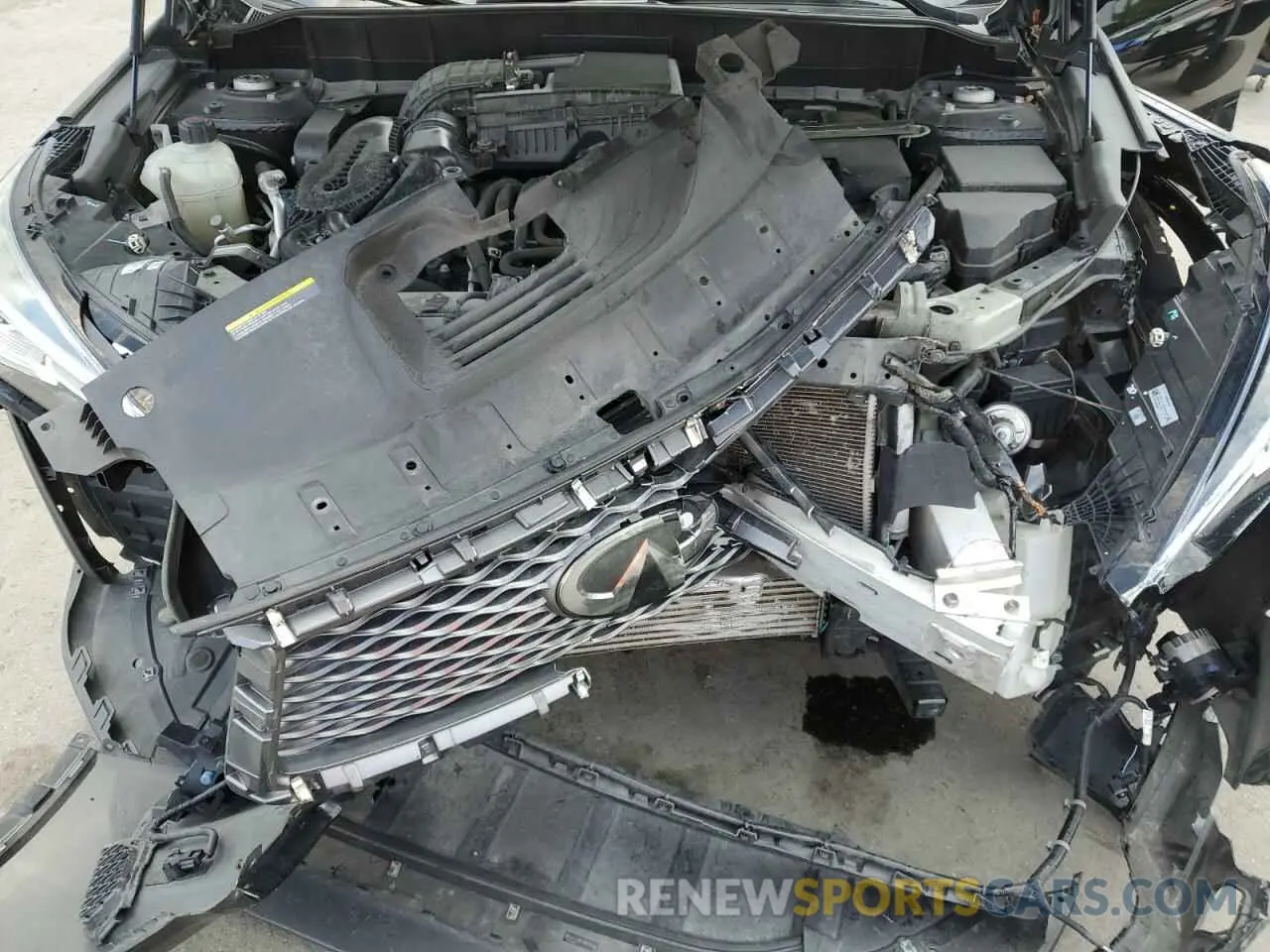 12 Фотография поврежденного автомобиля 3PCAJ5M16KF117748 INFINITI QX50 2019