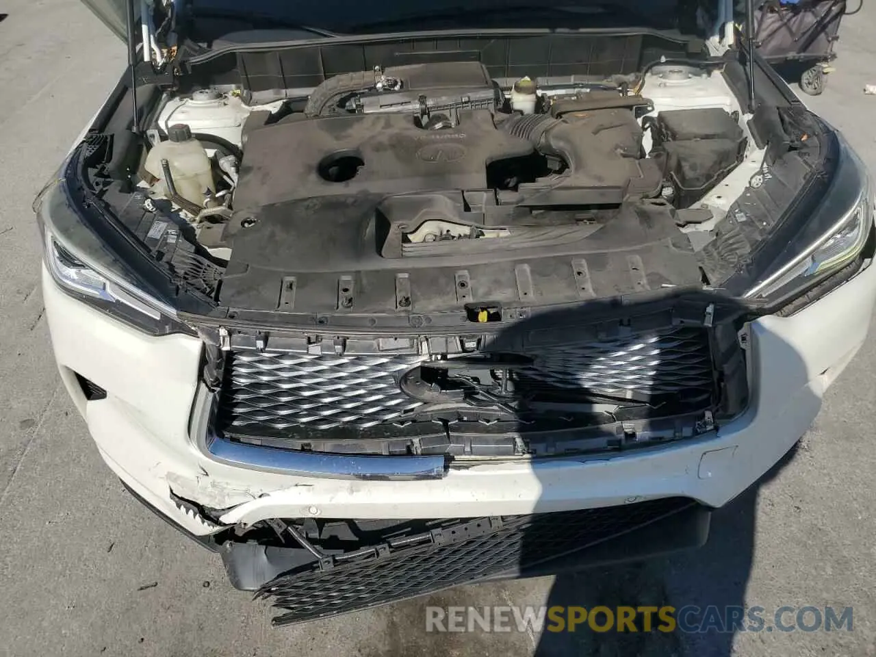 12 Photograph of a damaged car 3PCAJ5M17KF111263 INFINITI QX50 2019