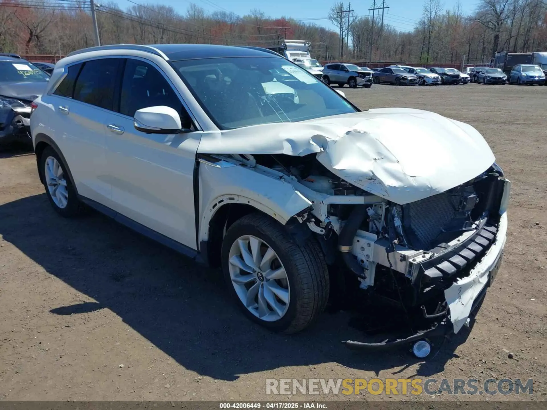 6 Photograph of a damaged car 3PCAJ5M30KF113891 INFINITI QX50 2019