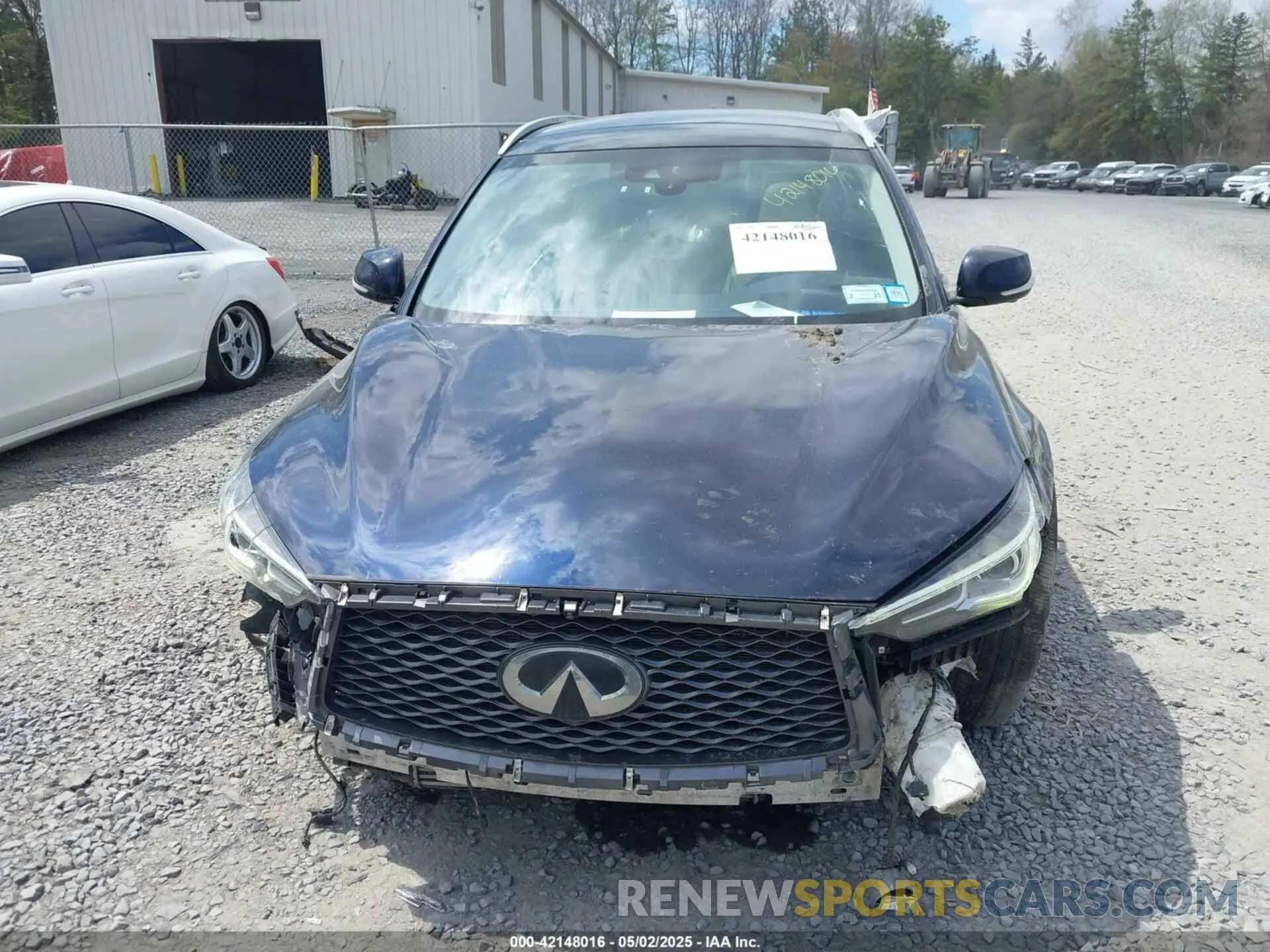 12 Photograph of a damaged car 3PCAJ5M31KF126200 INFINITI QX50 2019