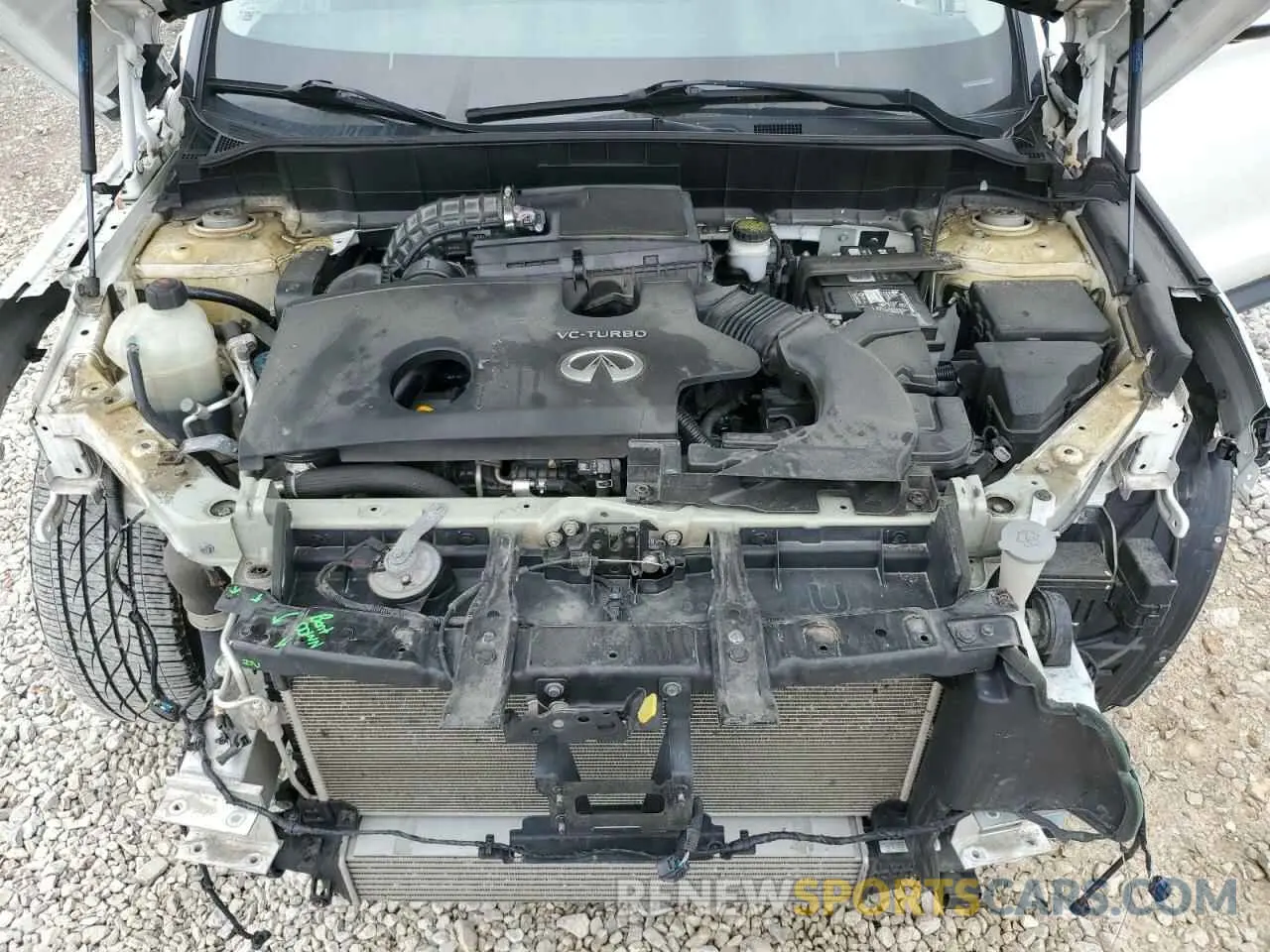 12 Фотография поврежденного автомобиля 3PCAJ5M32KF100933 INFINITI QX50 2019