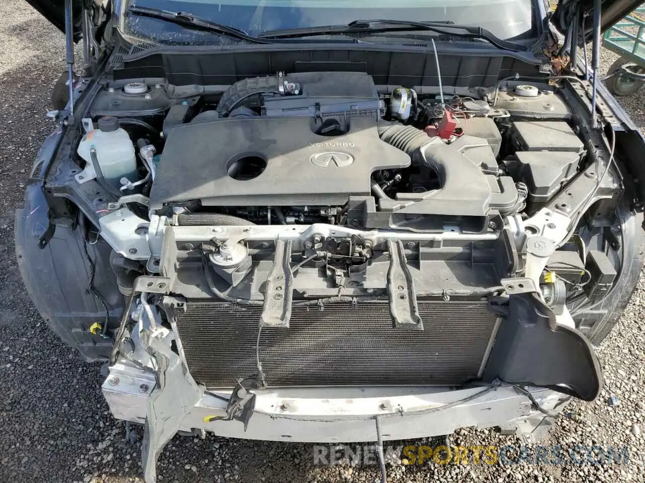 12 Photograph of a damaged car 3PCAJ5M35KF144618 INFINITI QX50 2019