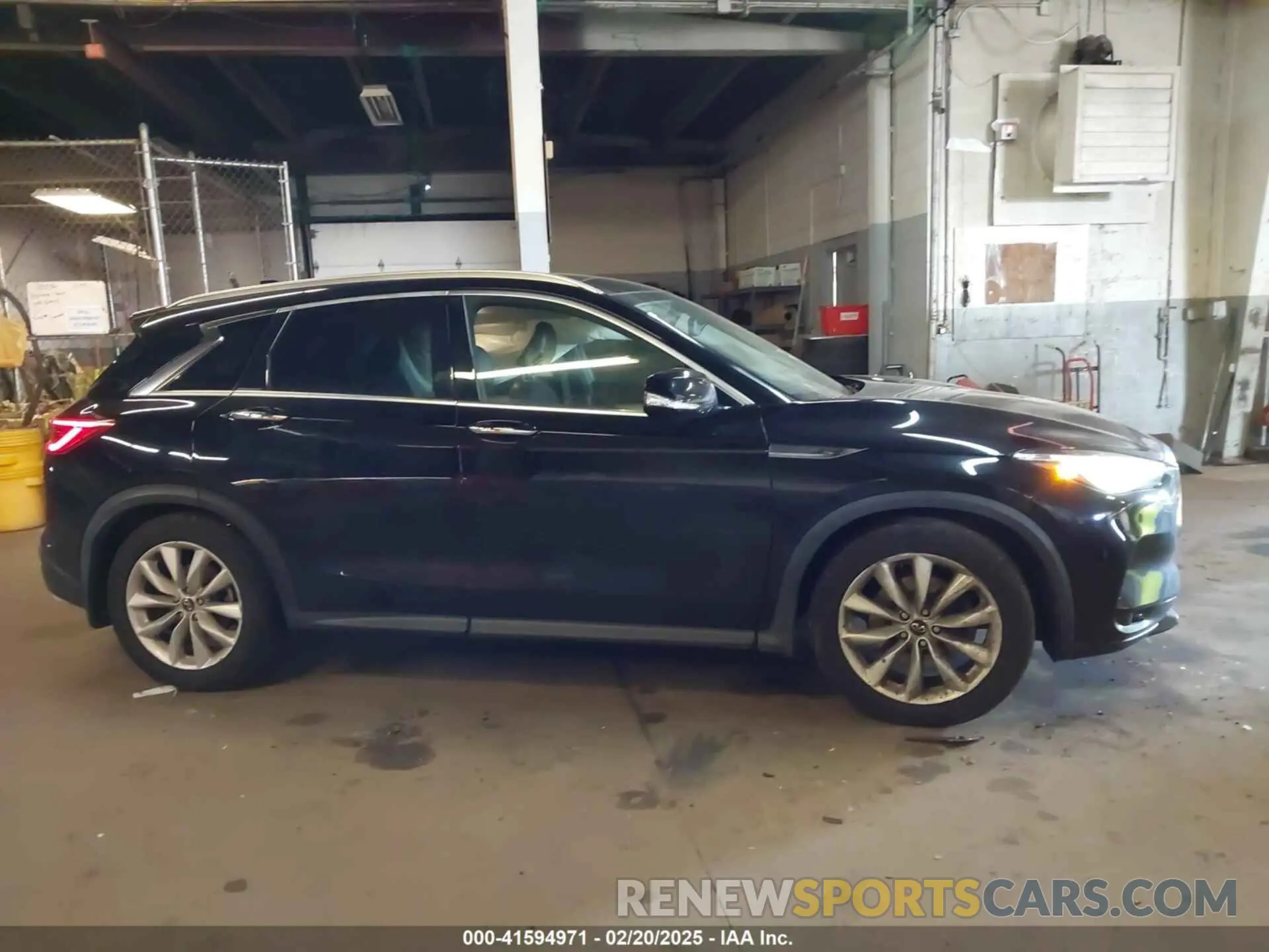 13 Photograph of a damaged car 3PCAJ5M36KF106542 INFINITI QX50 2019
