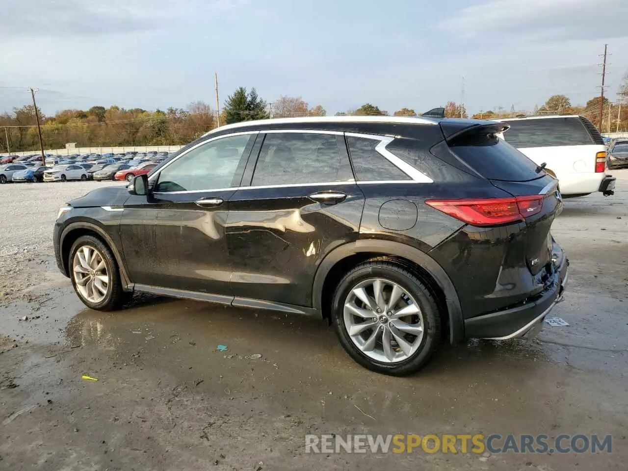 2 Photograph of a damaged car 3PCAJ5M36KF137225 INFINITI QX50 2019