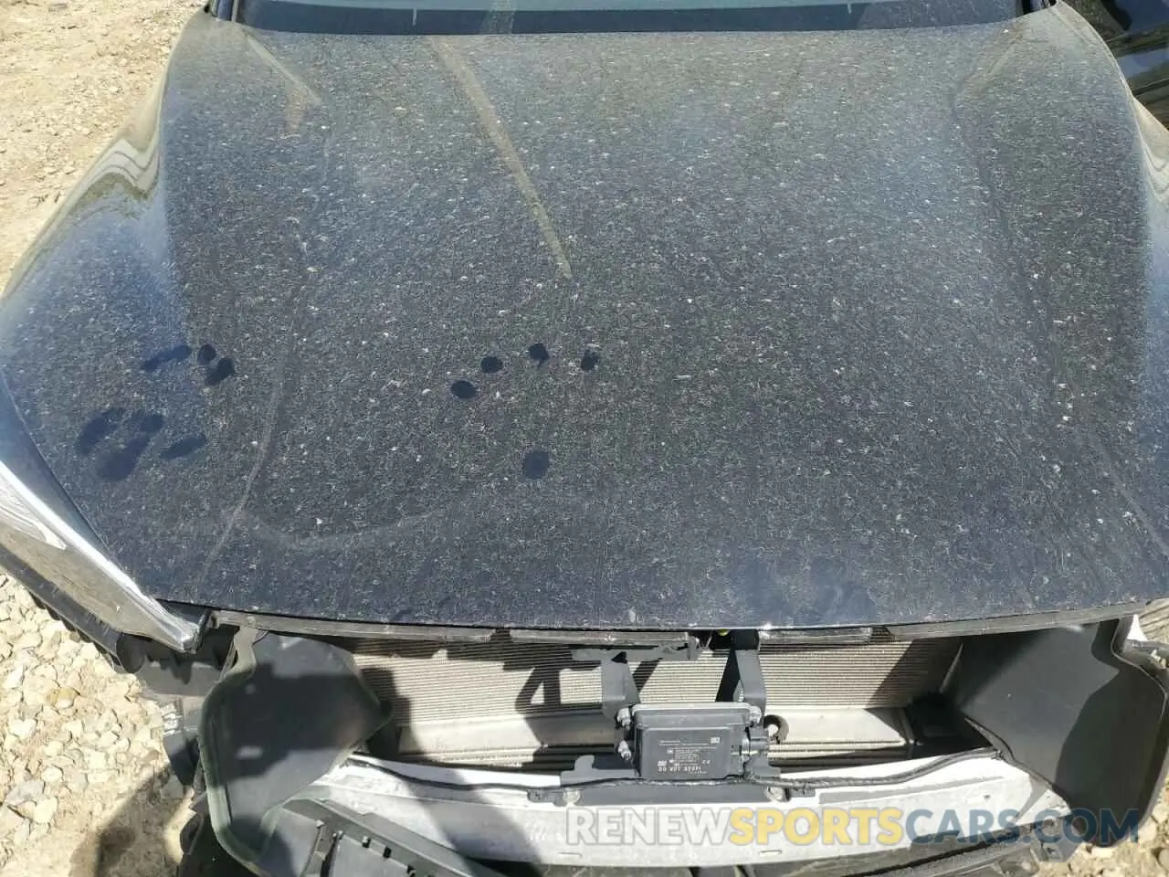 12 Фотография поврежденного автомобиля 3PCAJ5M37KF129859 INFINITI QX50 2019