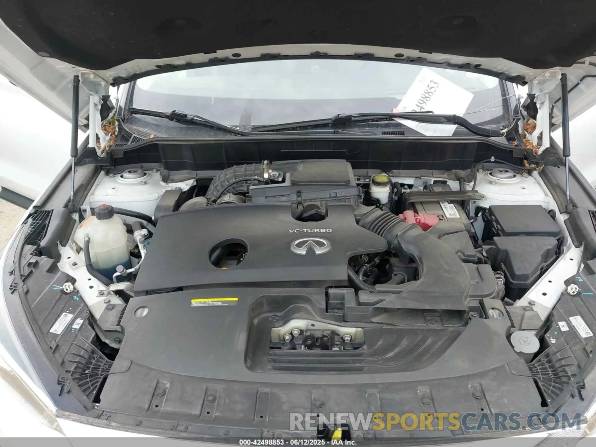 10 Photograph of a damaged car 3PCAJ5M38KF116098 INFINITI QX50 2019