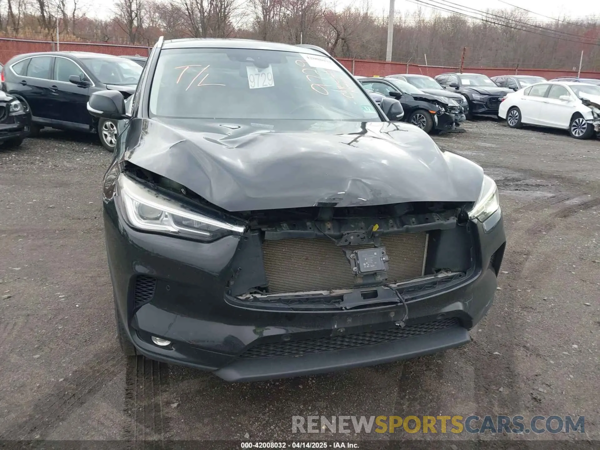 17 Фотография поврежденного автомобиля 3PCAJ5M38KF116554 INFINITI QX50 2019