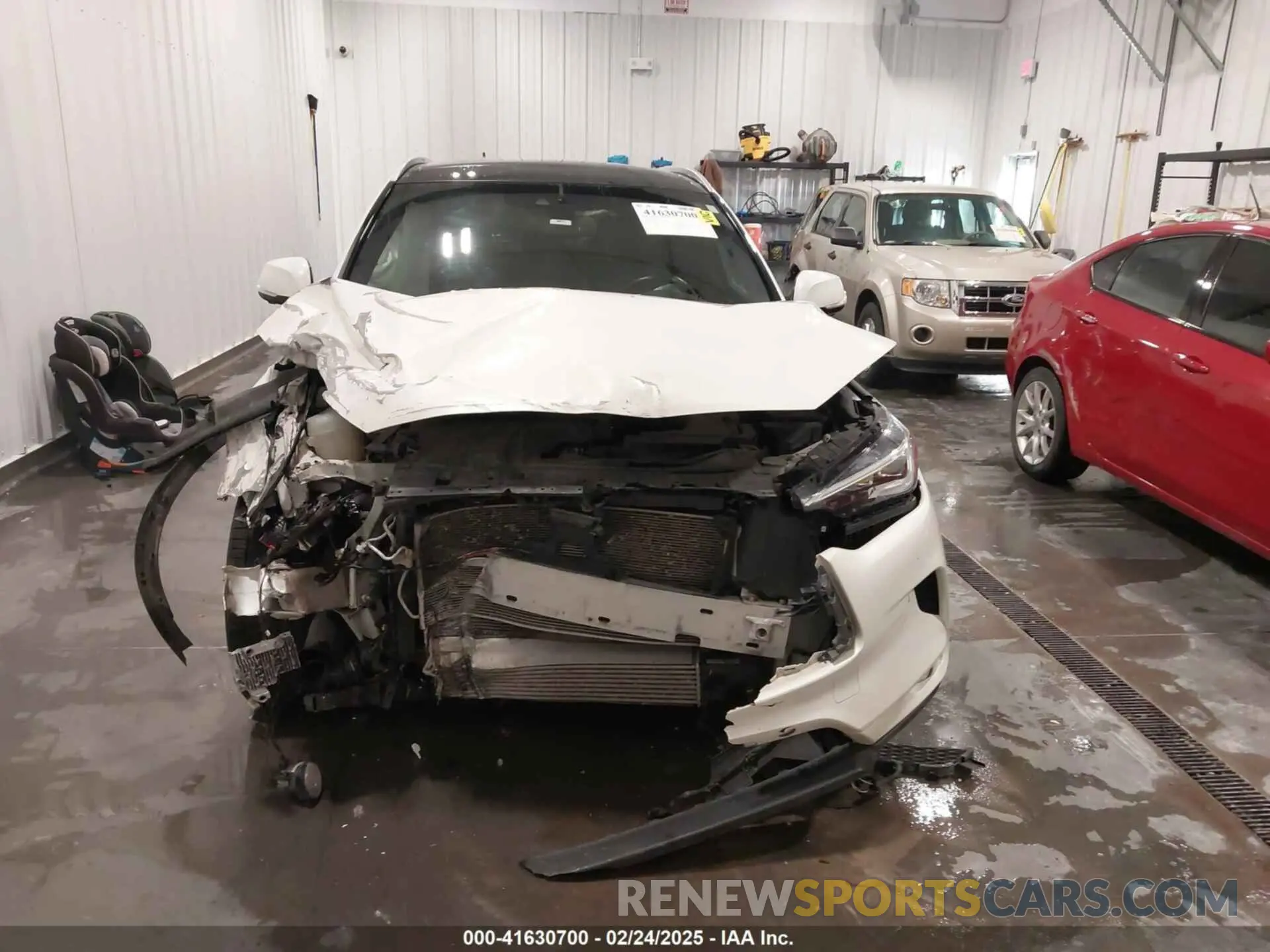 12 Photograph of a damaged car 3PCAJ5M38KF117624 INFINITI QX50 2019