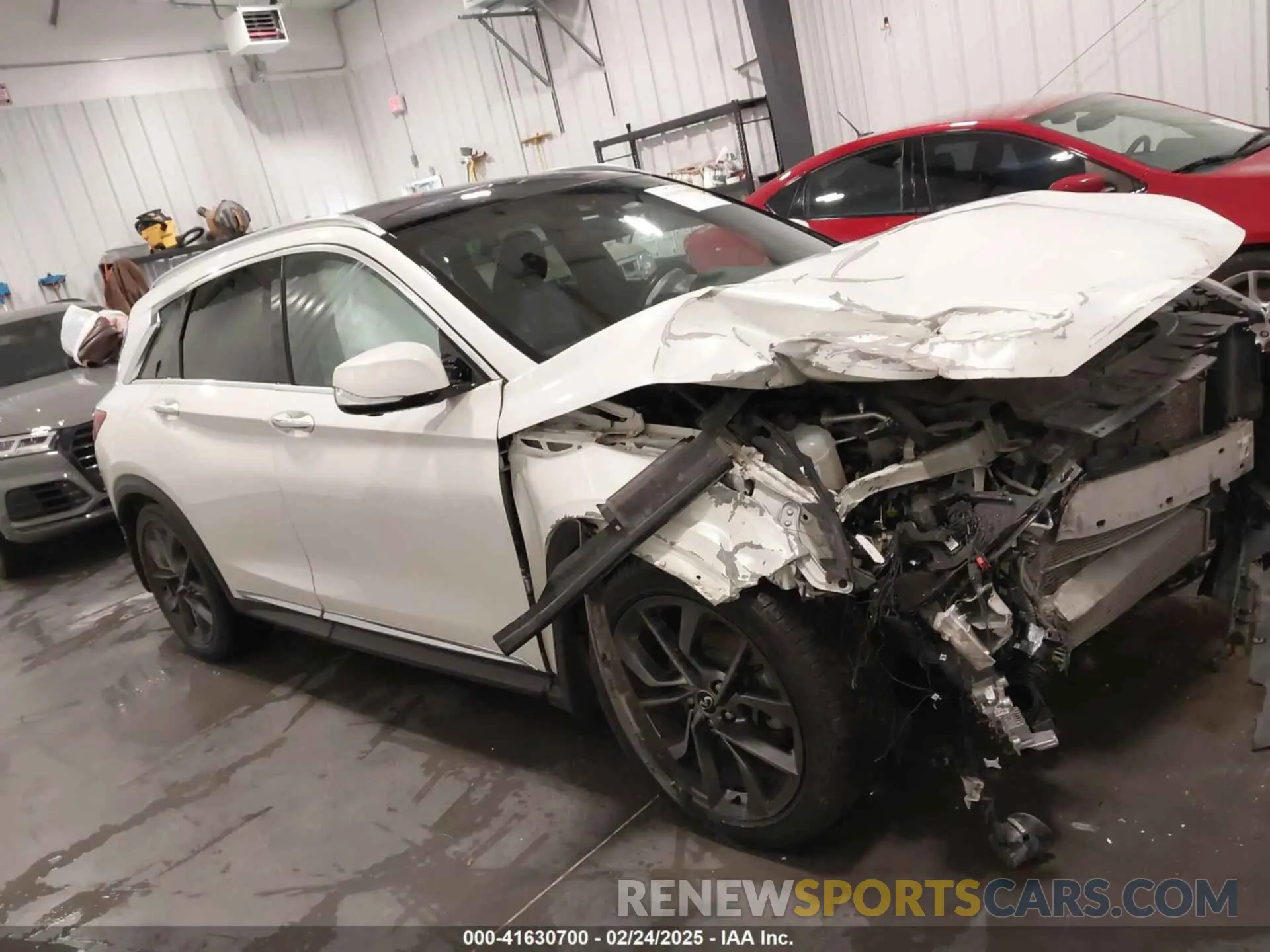13 Photograph of a damaged car 3PCAJ5M38KF117624 INFINITI QX50 2019