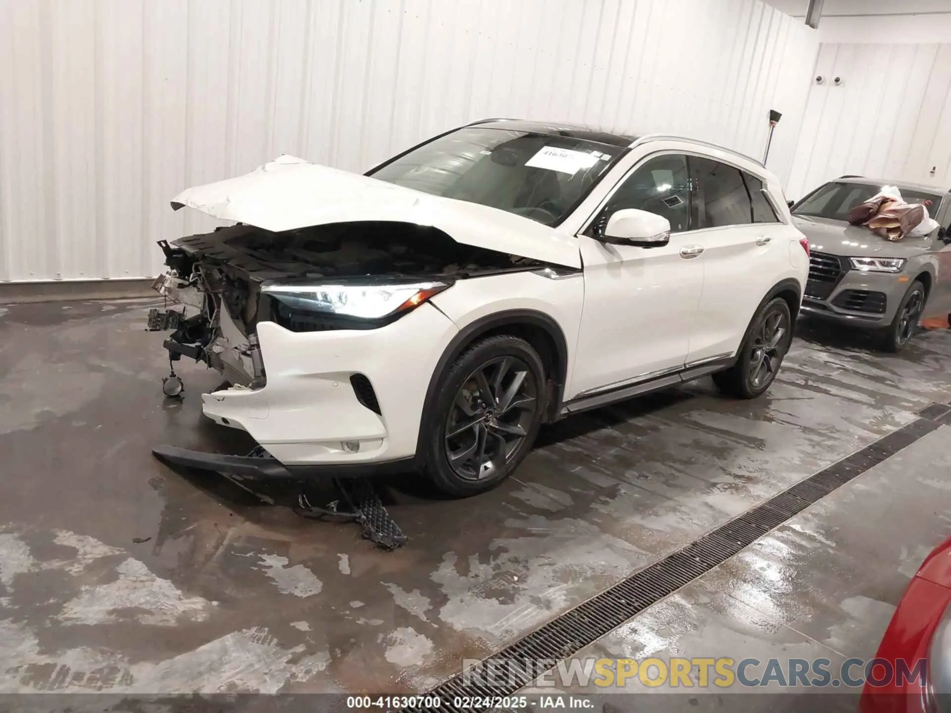 2 Photograph of a damaged car 3PCAJ5M38KF117624 INFINITI QX50 2019