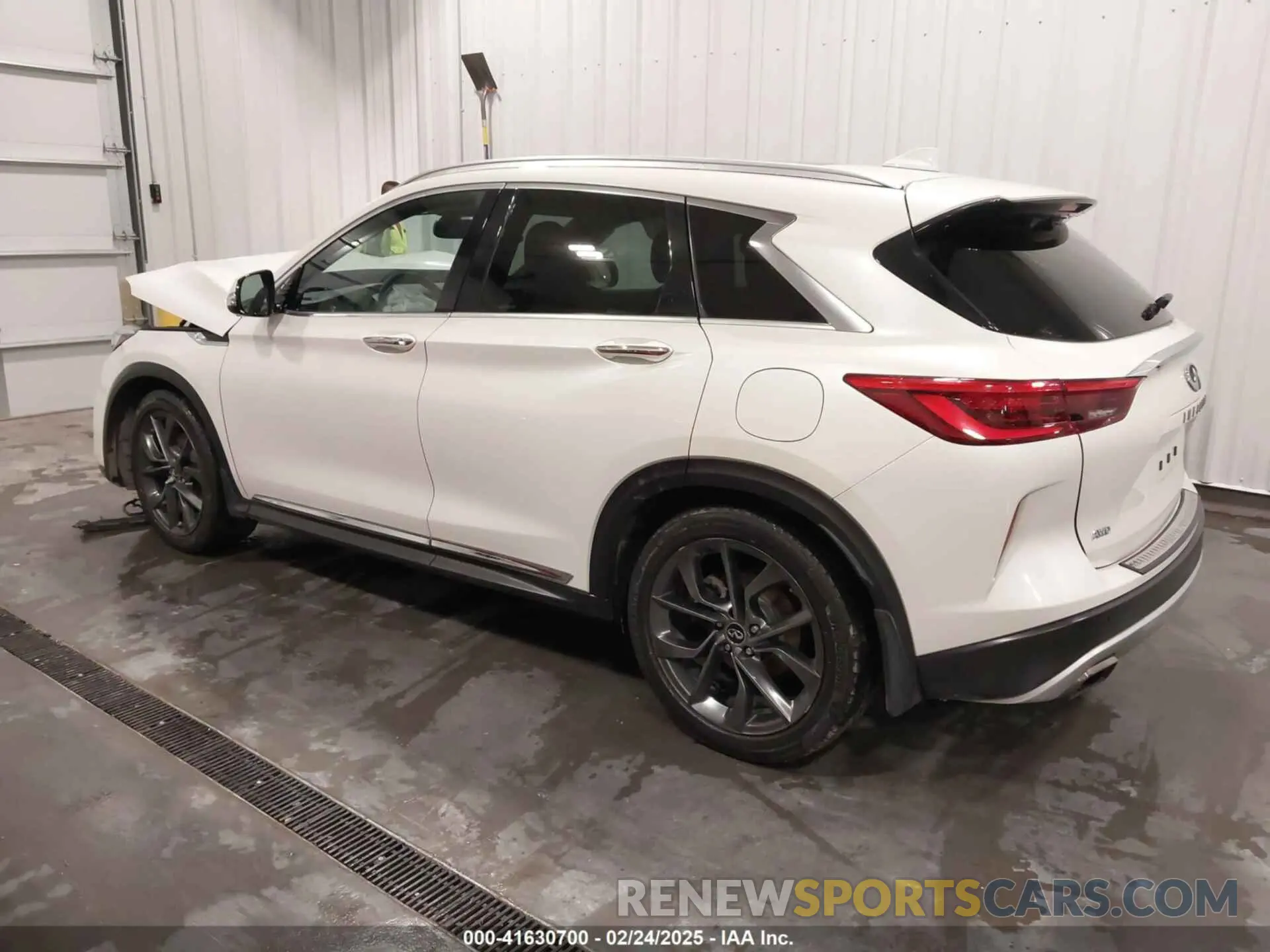 3 Photograph of a damaged car 3PCAJ5M38KF117624 INFINITI QX50 2019