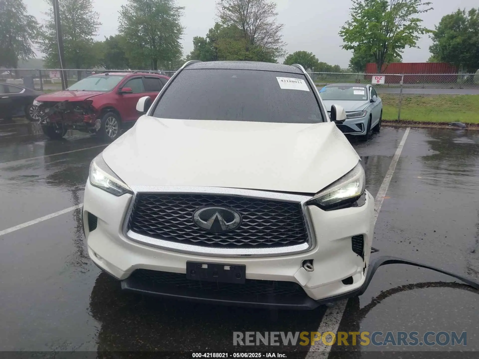 12 Photograph of a damaged car 3PCAJ5M38KF135590 INFINITI QX50 2019