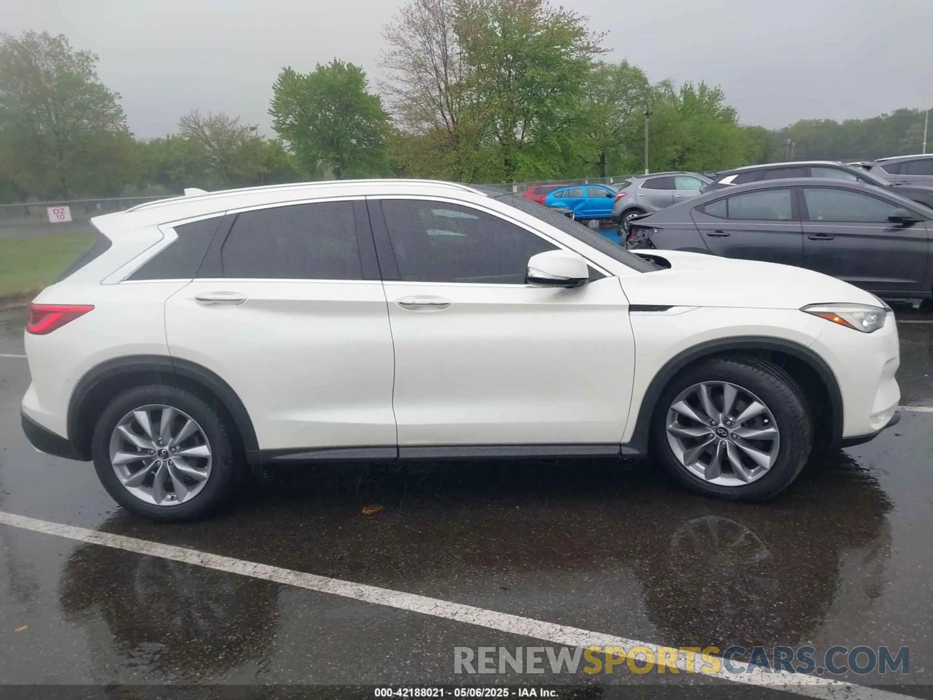 13 Photograph of a damaged car 3PCAJ5M38KF135590 INFINITI QX50 2019