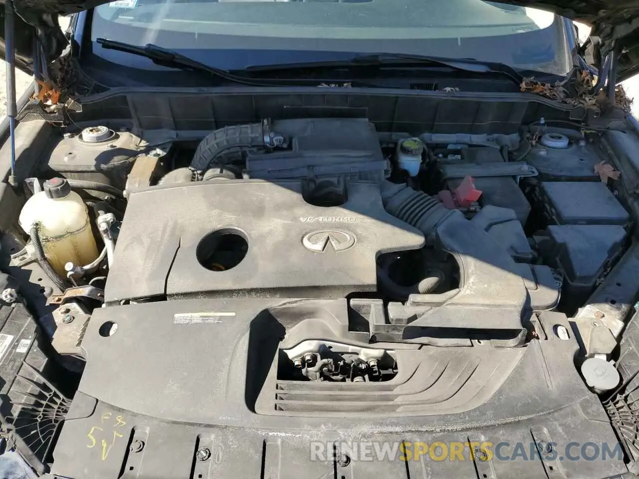14 Photograph of a damaged car 3PCAJ5M39KF138806 INFINITI QX50 2019