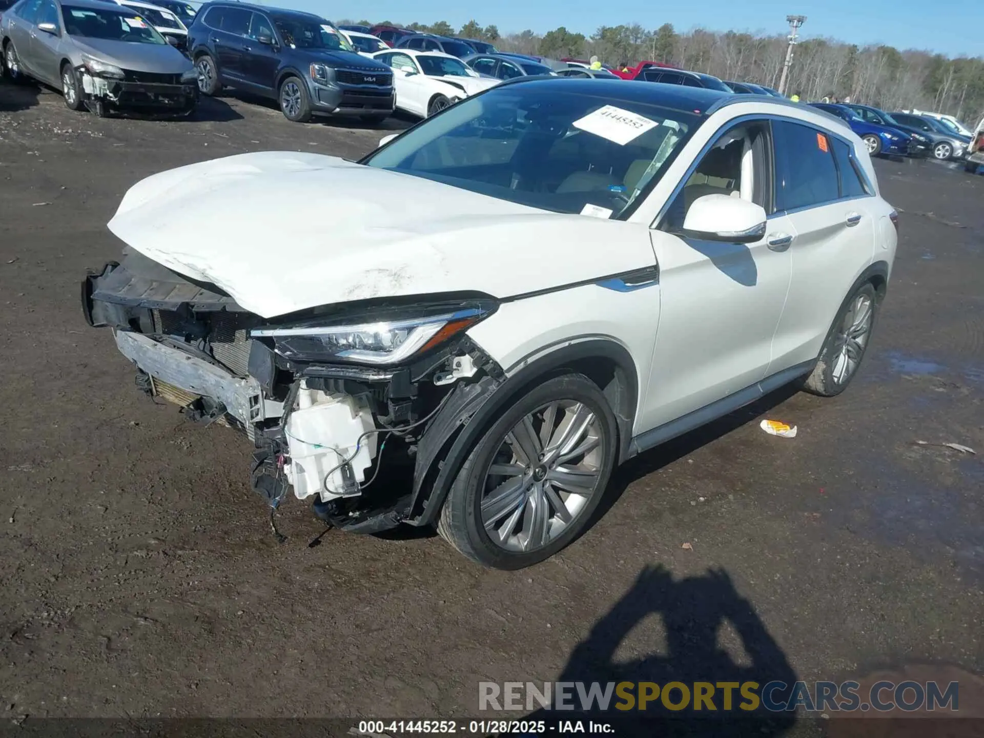 2 Photograph of a damaged car 3PCAJ5M12LF110250 INFINITI QX50 2020