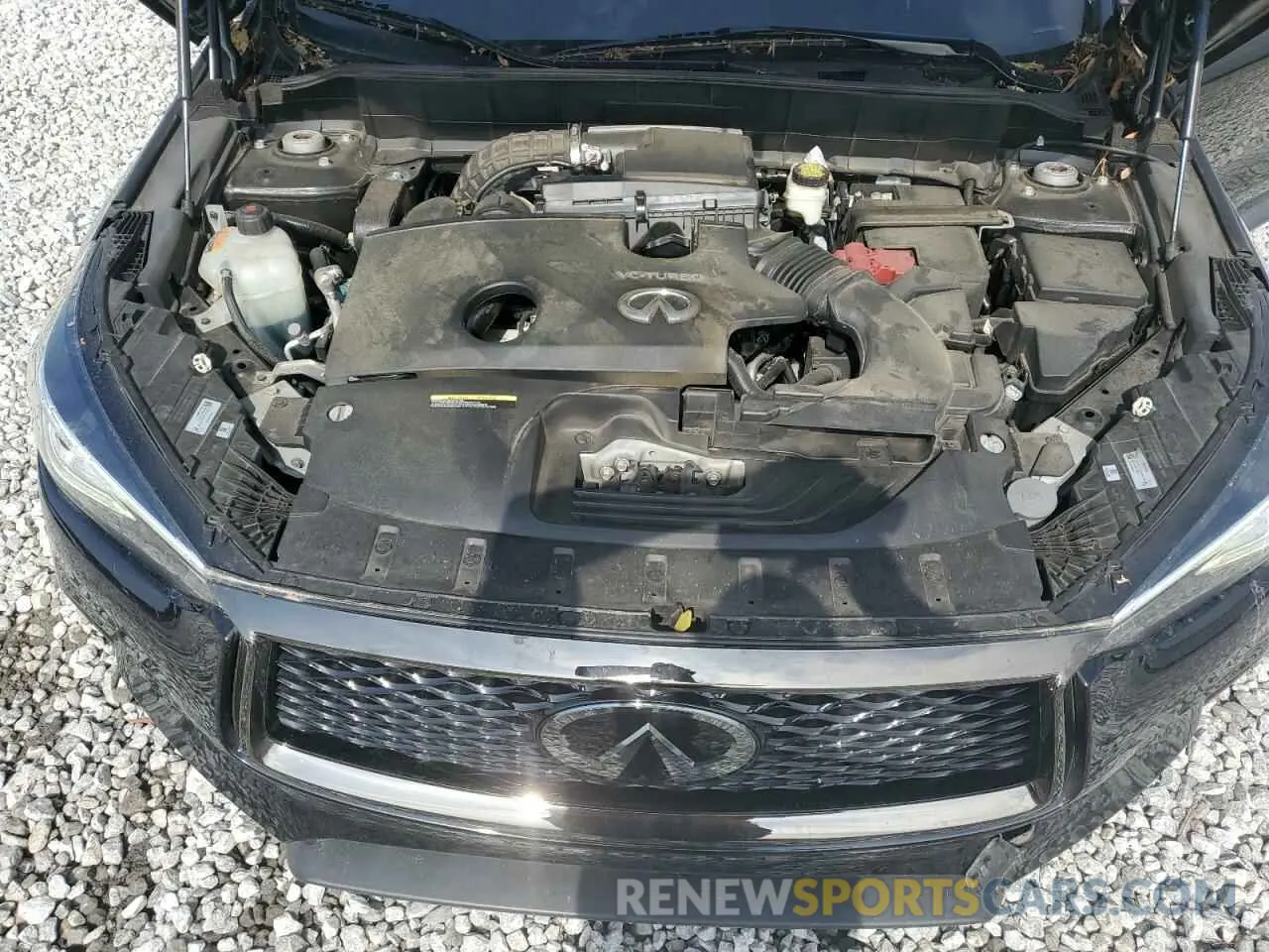 12 Photograph of a damaged car 3PCAJ5M17LF115024 INFINITI QX50 2020