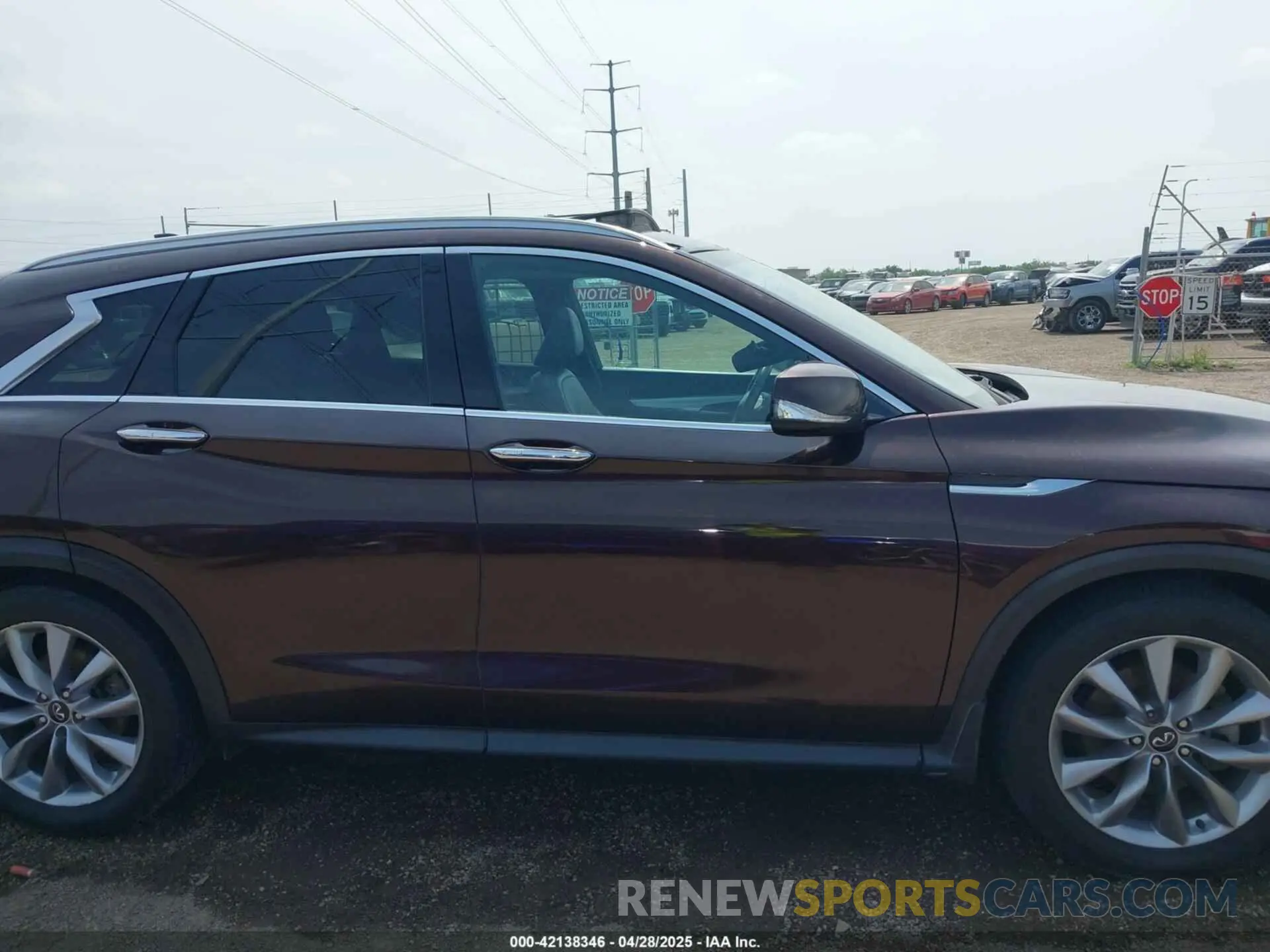 13 Photograph of a damaged car 3PCAJ5M18LF100693 INFINITI QX50 2020