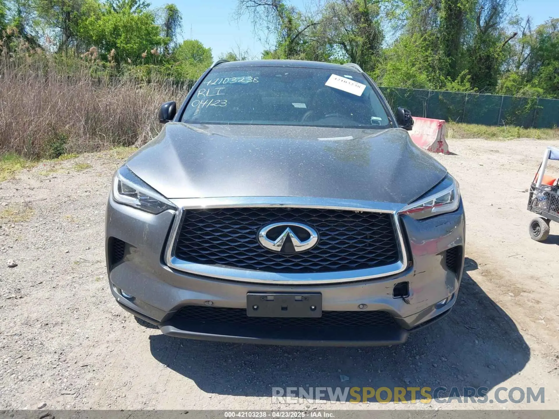 12 Photograph of a damaged car 3PCAJ5M39LF113955 INFINITI QX50 2020