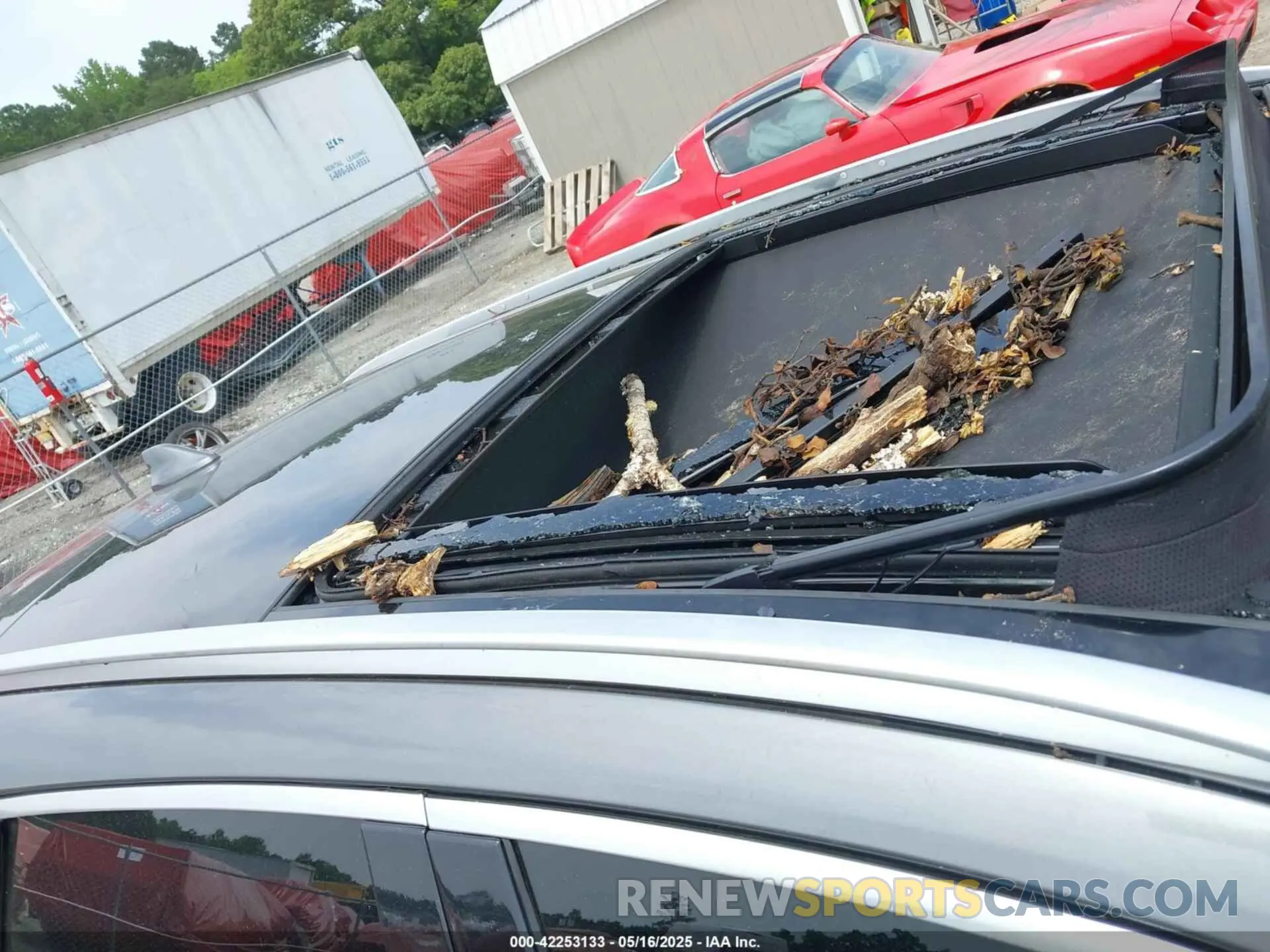 6 Photograph of a damaged car 3PCAJ5BA5MF111820 INFINITI QX50 2021