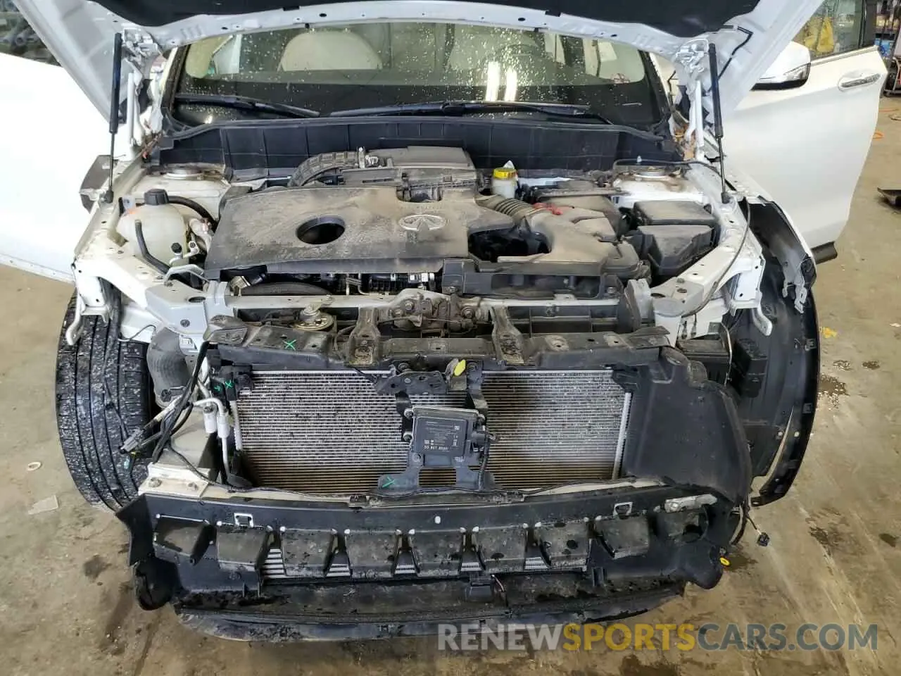 12 Photograph of a damaged car 3PCAJ5BB7NF114132 INFINITI QX50 2022