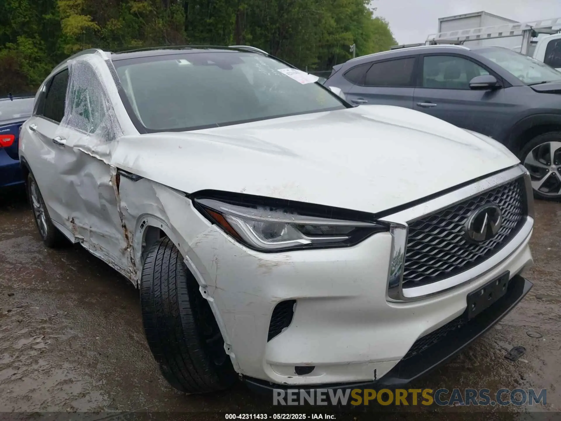 1 Фотография поврежденного автомобиля 3PCAJ5BA5PF116908 INFINITI QX50 2023