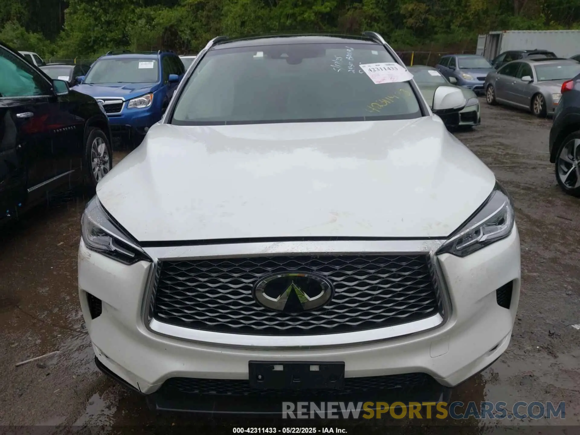 12 Фотография поврежденного автомобиля 3PCAJ5BA5PF116908 INFINITI QX50 2023