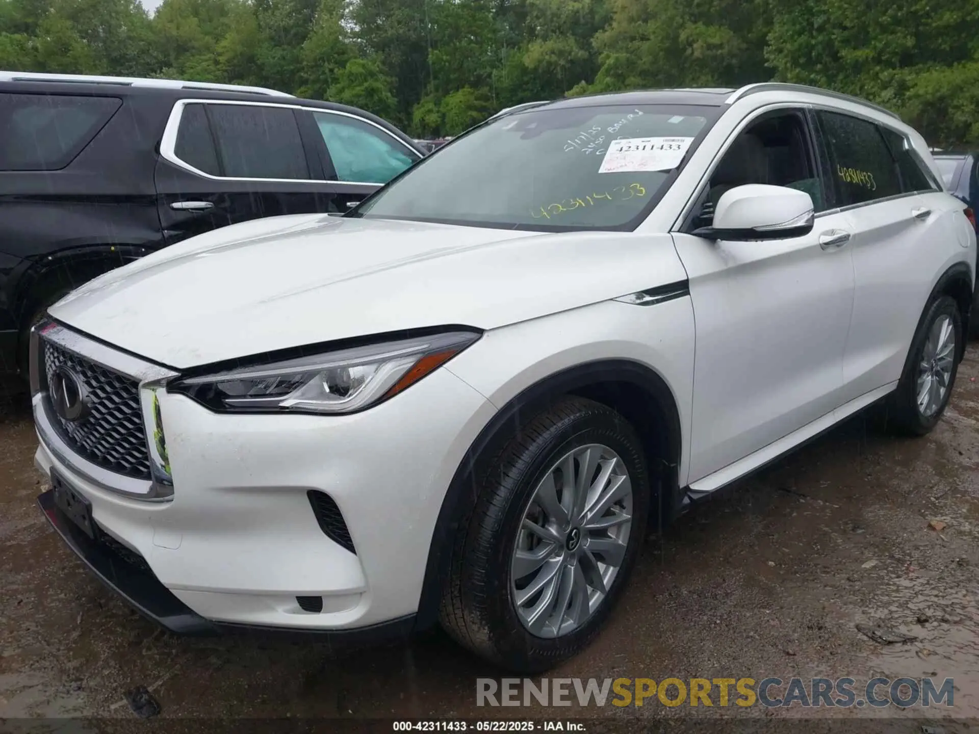 2 Фотография поврежденного автомобиля 3PCAJ5BA5PF116908 INFINITI QX50 2023