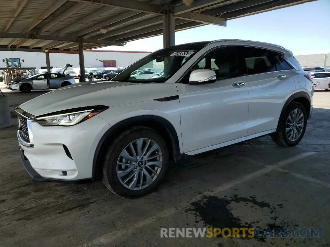 1 Фотография поврежденного автомобиля 3PCAJ5BB2RF106560 INFINITI QX50 2024
