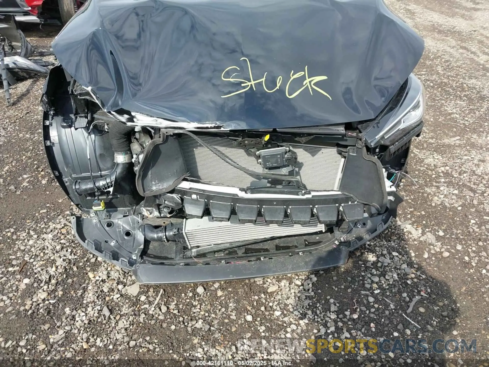 6 Photograph of a damaged car 3PCAJ5BB9RF101243 INFINITI QX50 2024
