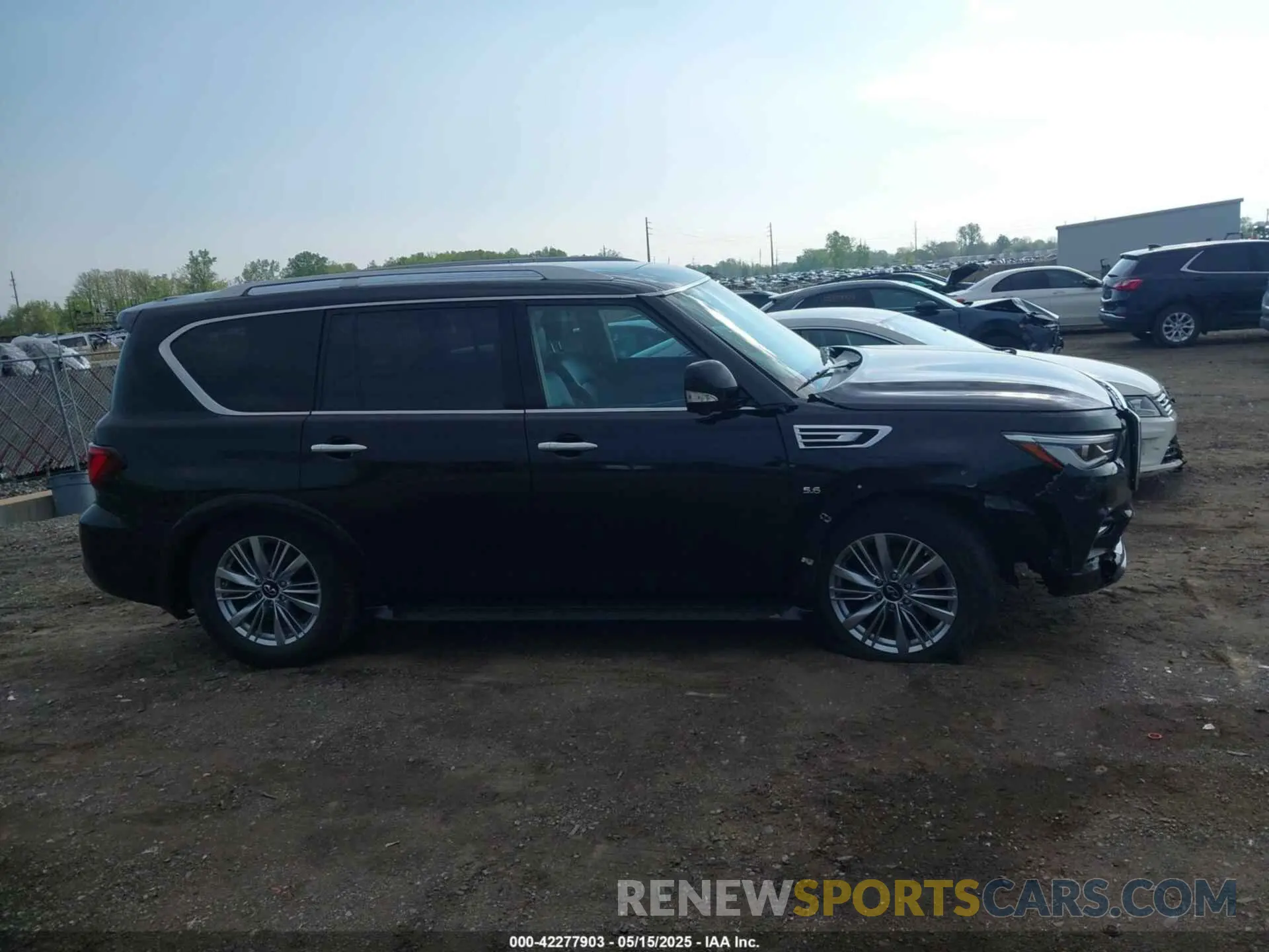 13 Photograph of a damaged car JN8AZ2NE4K9228094 INFINITI QX80 2019