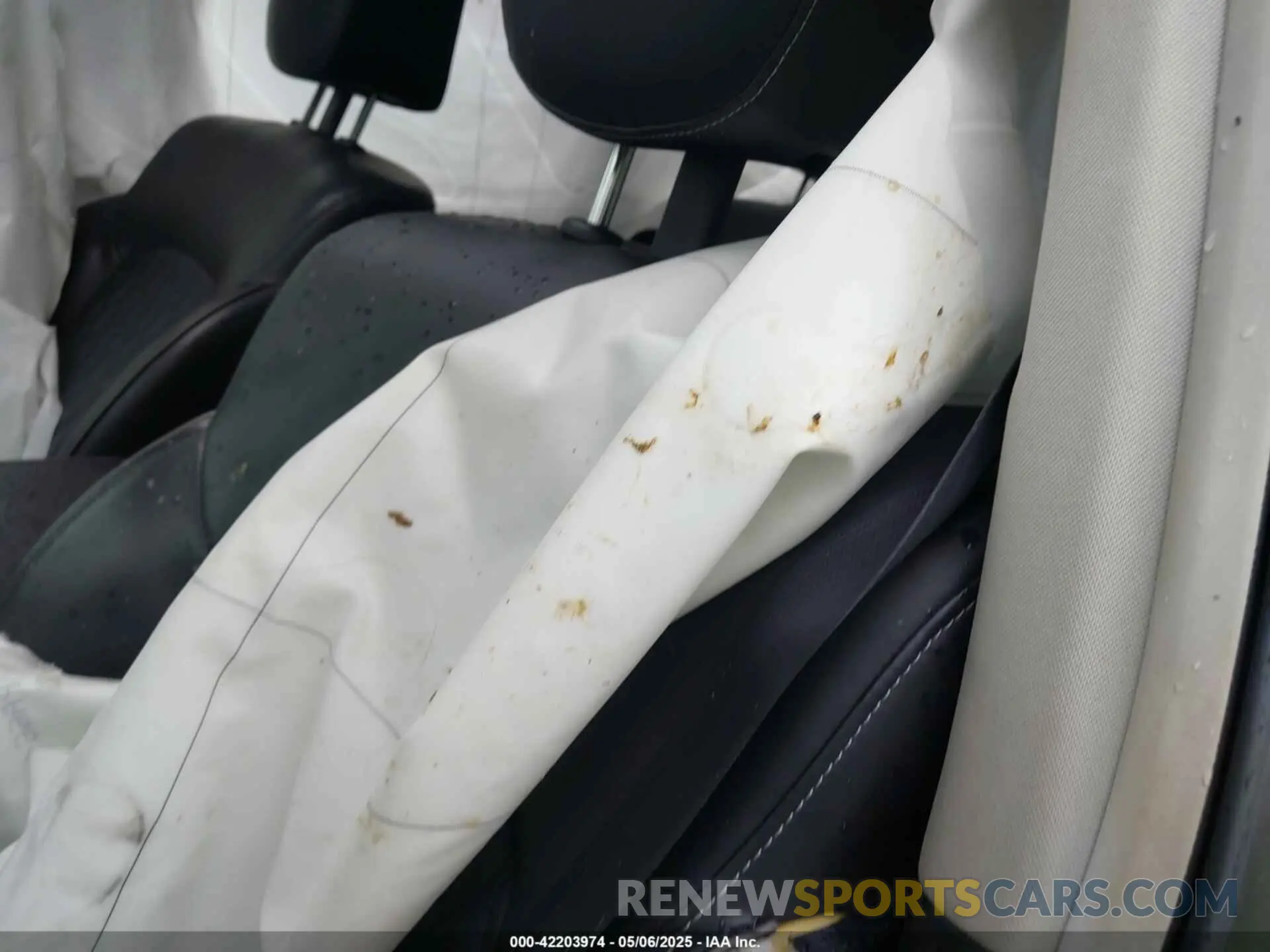 13 Photograph of a damaged car JN8AZ2NE9K9231220 INFINITI QX80 2019