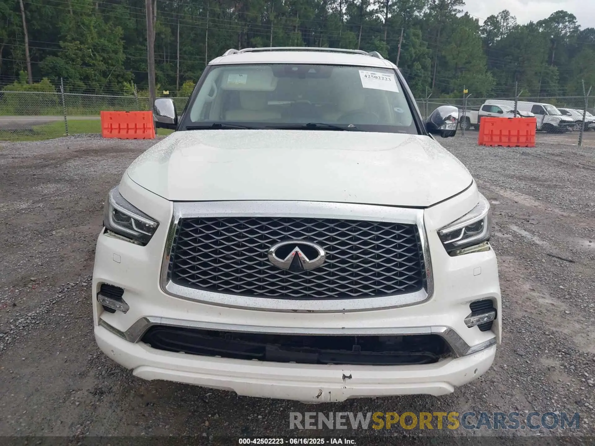 12 Фотография поврежденного автомобиля JN8AZ2NFXK9688644 INFINITI QX80 2019