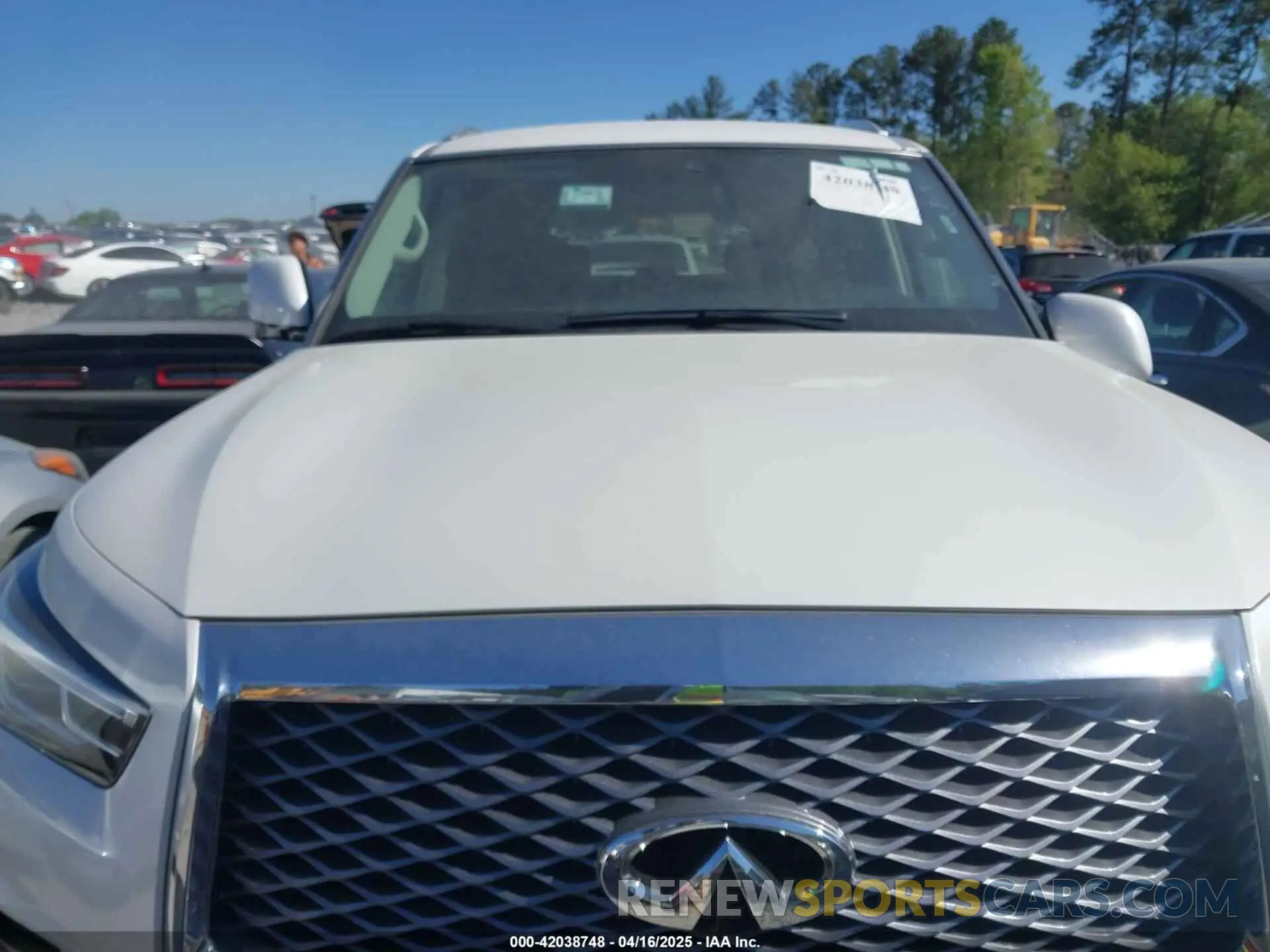 12 Photograph of a damaged car JN8AZ2AF9R9765066 INFINITI QX80 2024