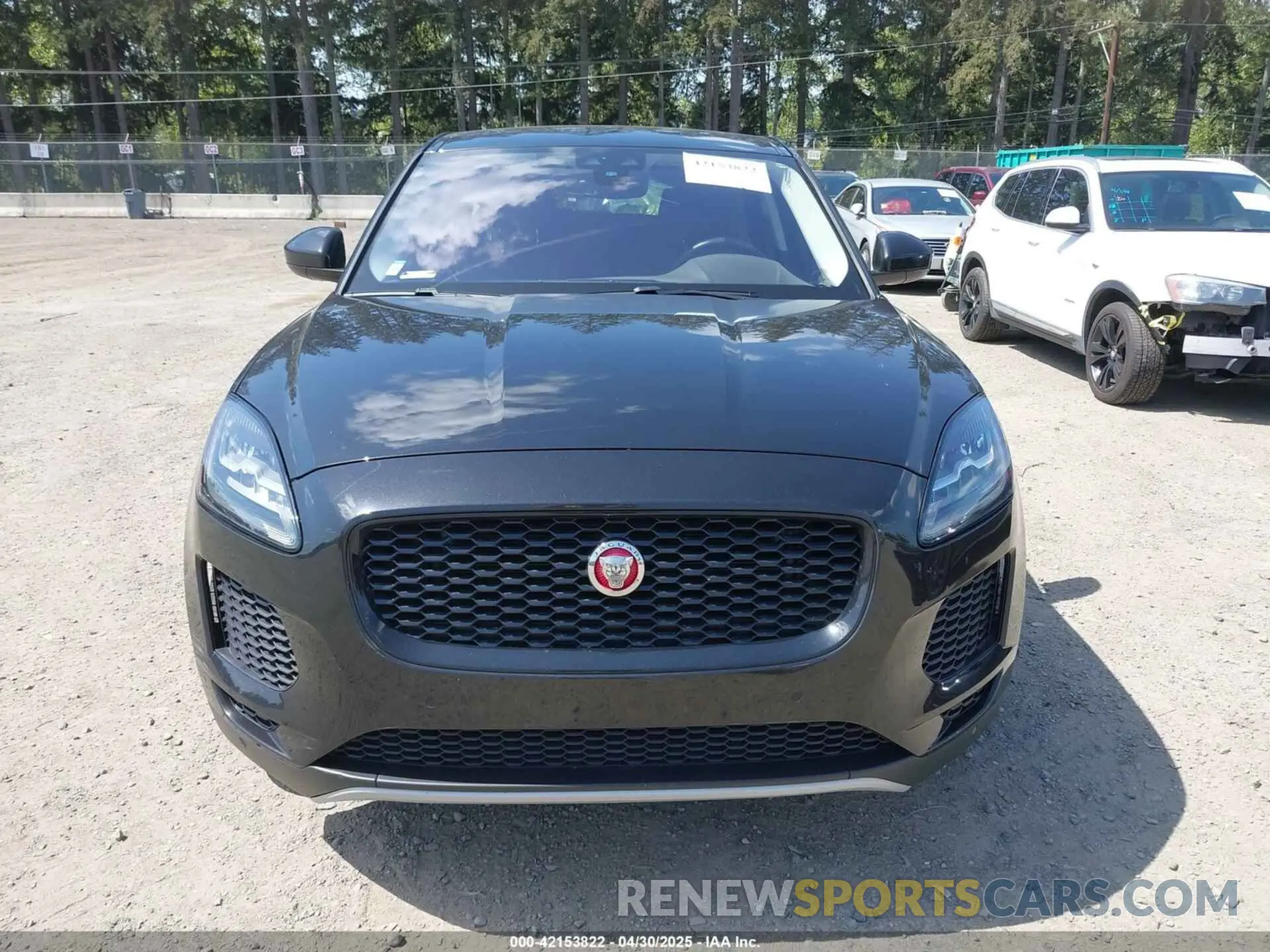 12 Фотография поврежденного автомобиля SADFP2FX2K1Z47628 JAGUAR E-PACE 2019