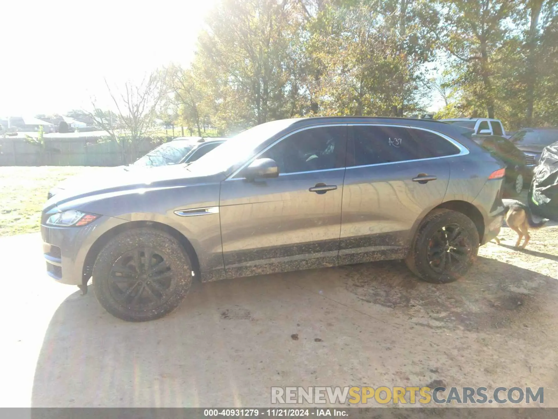 14 Фотография поврежденного автомобиля SADCJ2FX6KA360806 JAGUAR F-PACE 2019