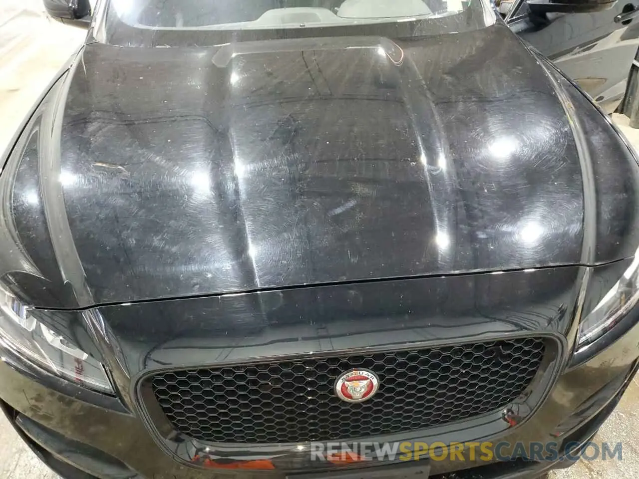 12 Photograph of a damaged car SADCK2FX7KA366367 JAGUAR F-PACE 2019