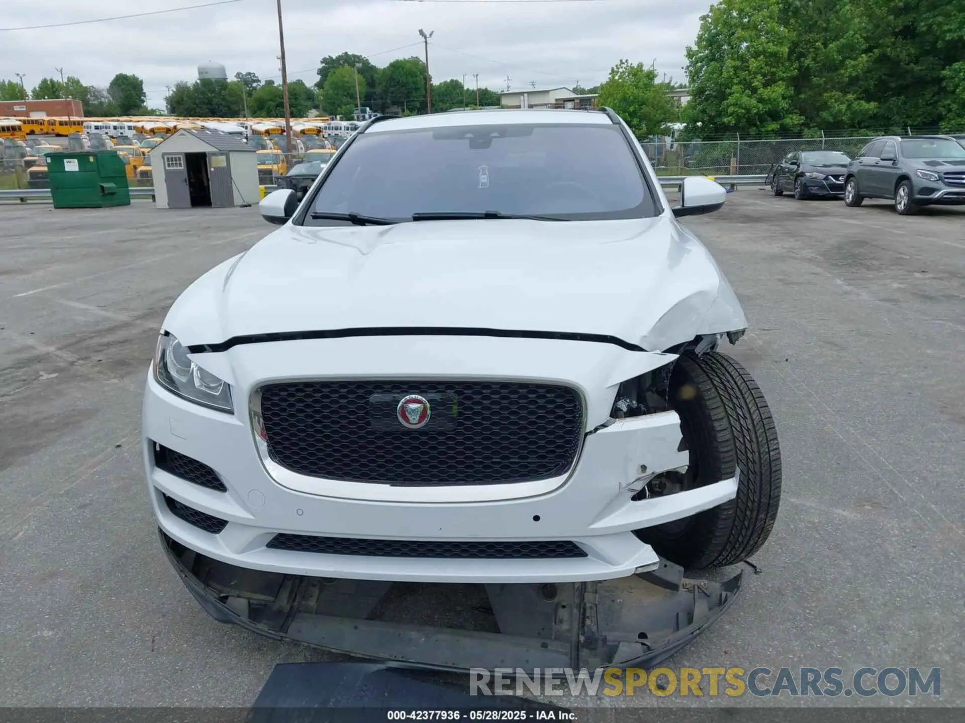 12 Photograph of a damaged car SADCK2GX3KA602396 JAGUAR F-PACE 2019