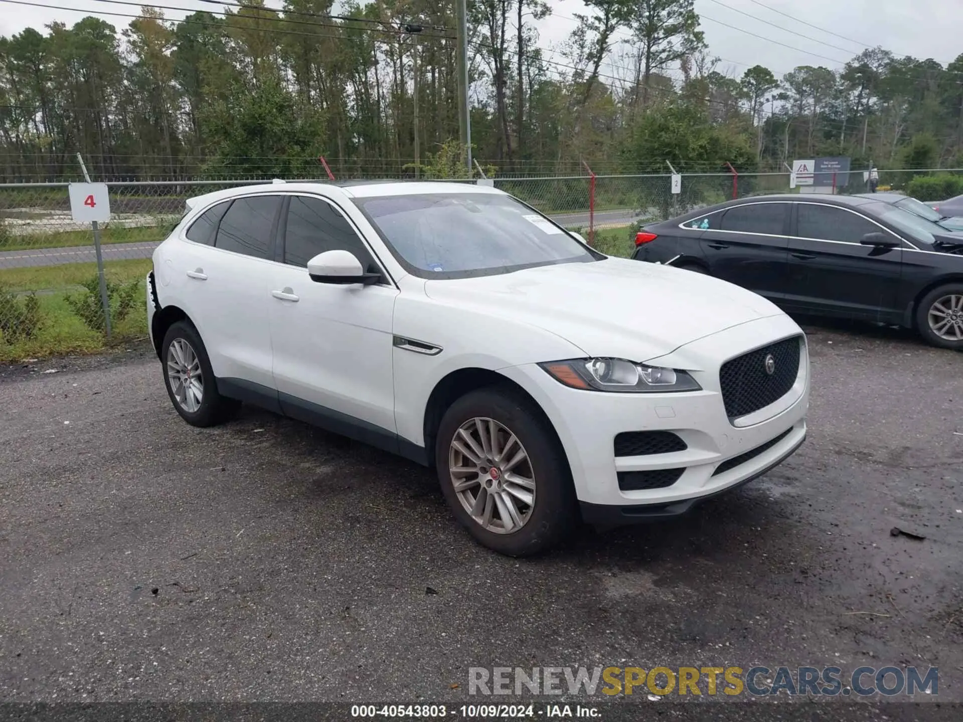 1 Фотография поврежденного автомобиля SADCK2GX6KA390884 JAGUAR F-PACE 2019